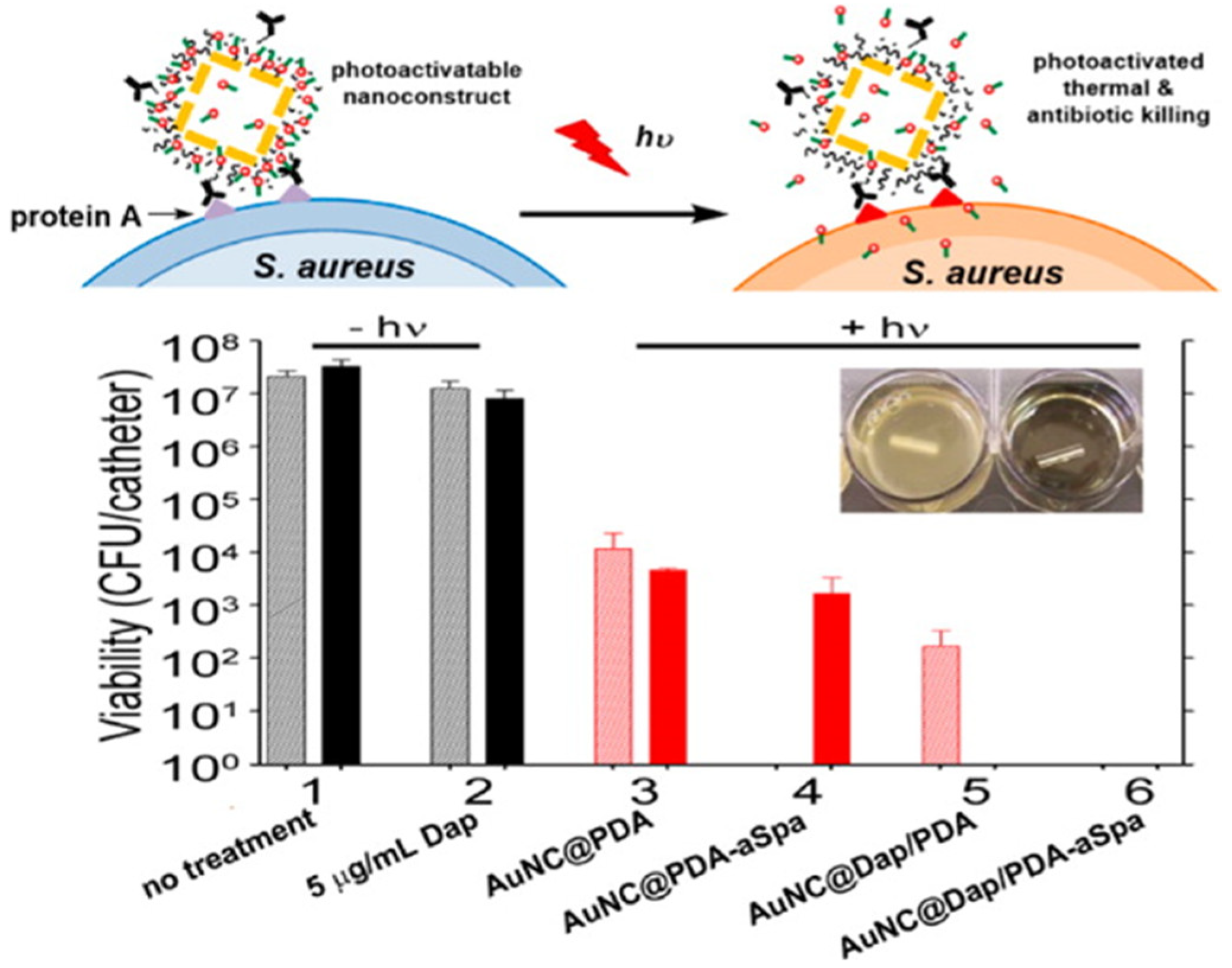 Pharmaceutics 13 01795 g007 Pharmaceutics 13 01795 g007