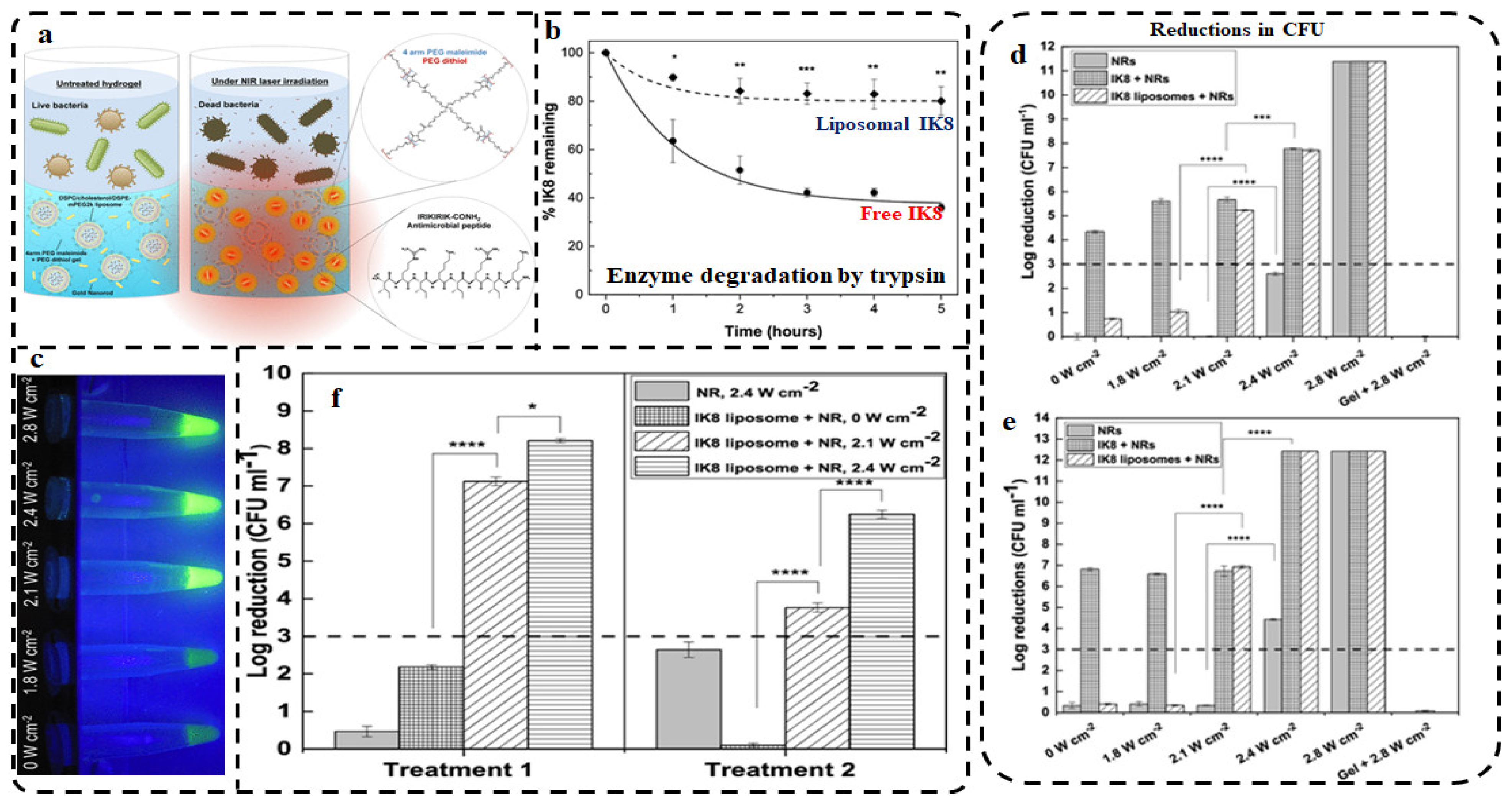 Pharmaceutics 13 01795 g008 Pharmaceutics 13 01795 g008