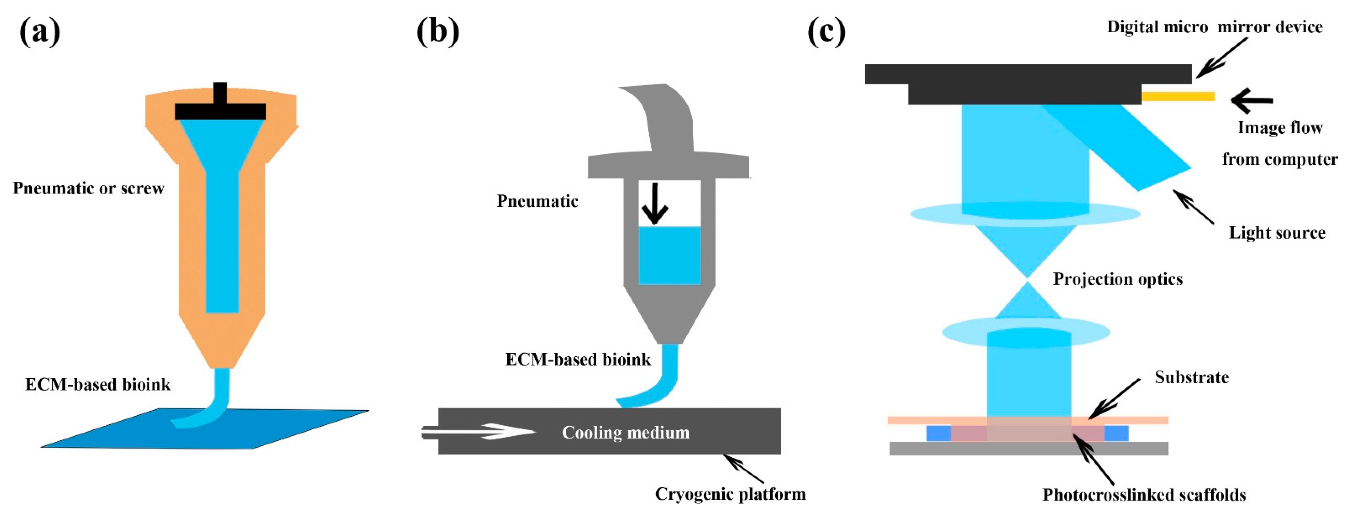Pharmaceutics 13 01796 g003