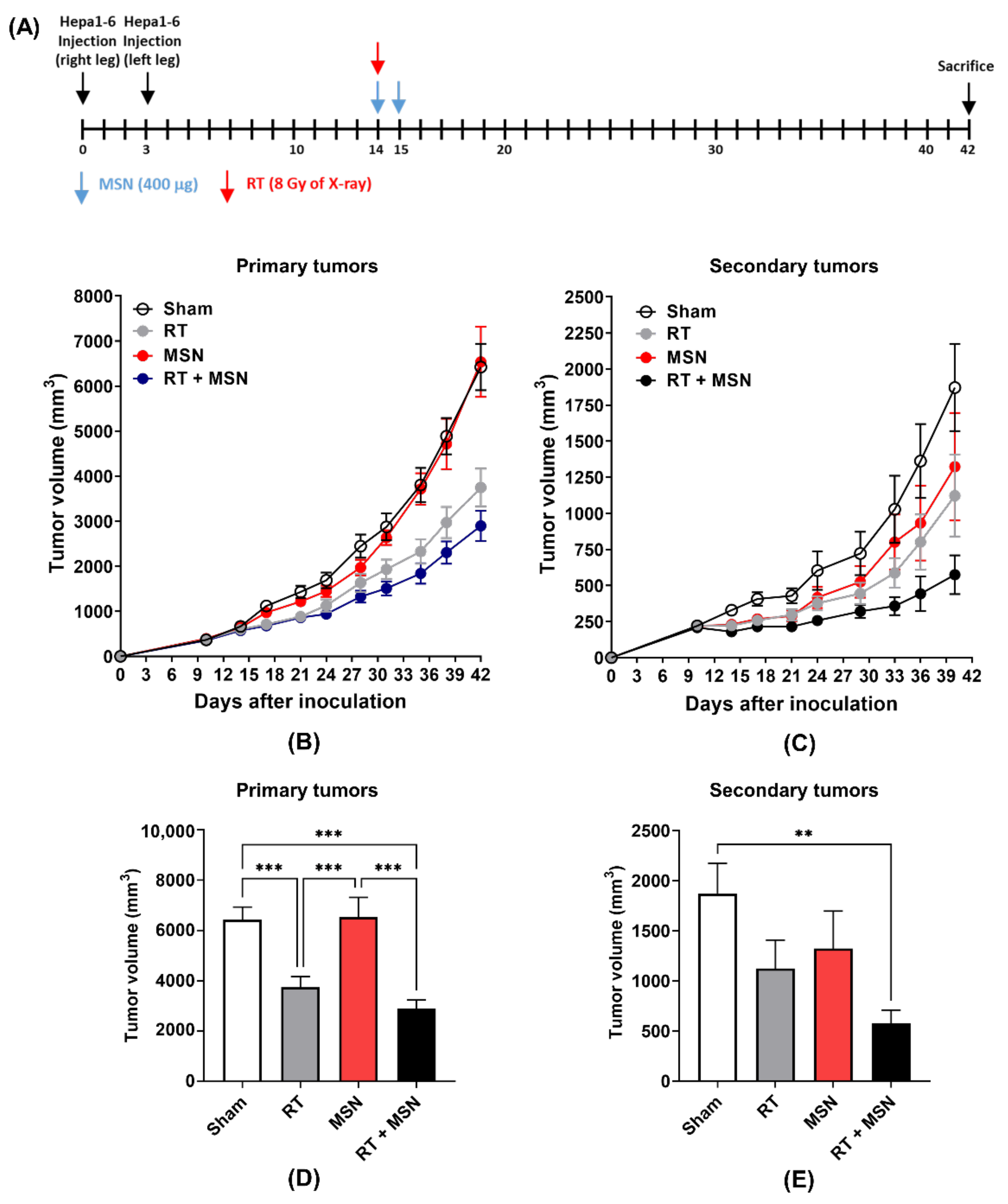 Pharmaceutics 13 01811 g002