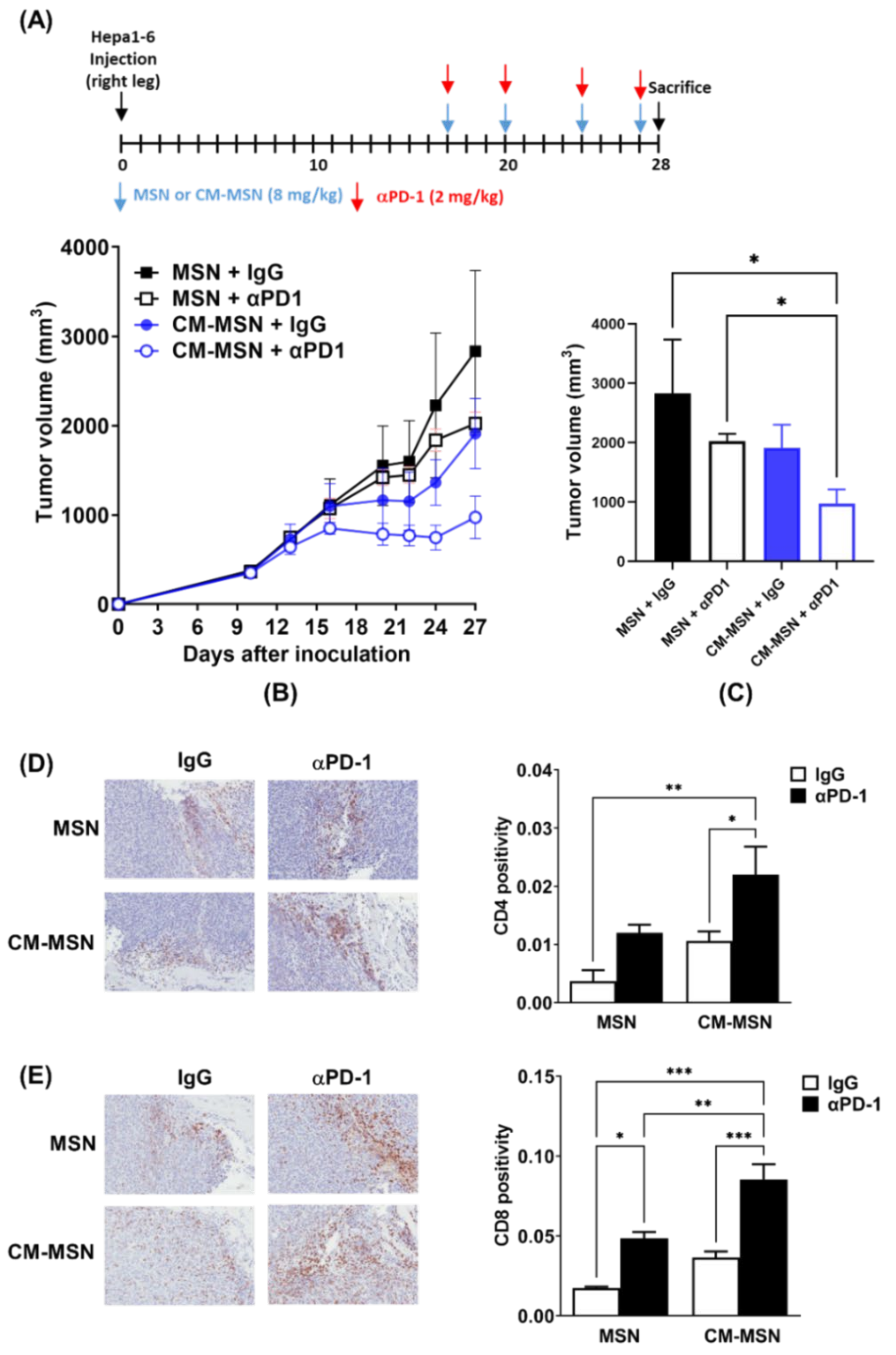 Pharmaceutics 13 01811 g005