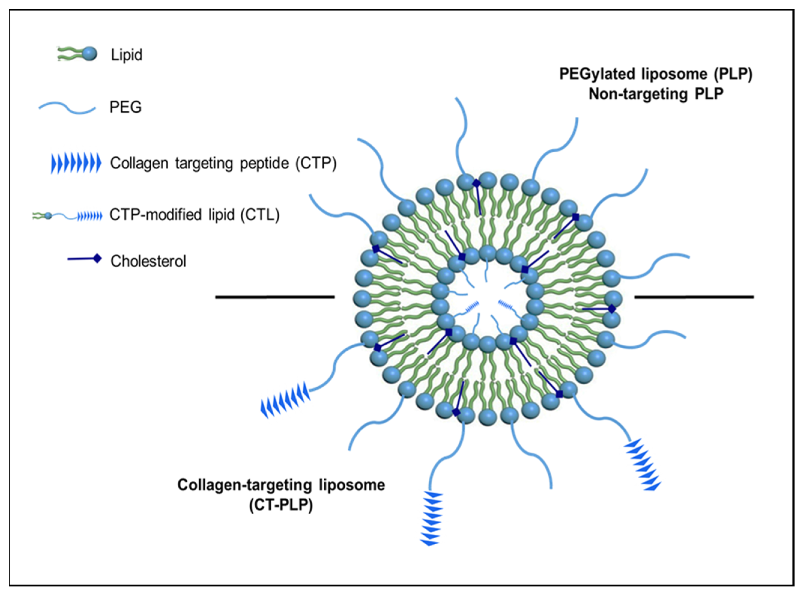 Pharmaceutics 13 01816 g002
