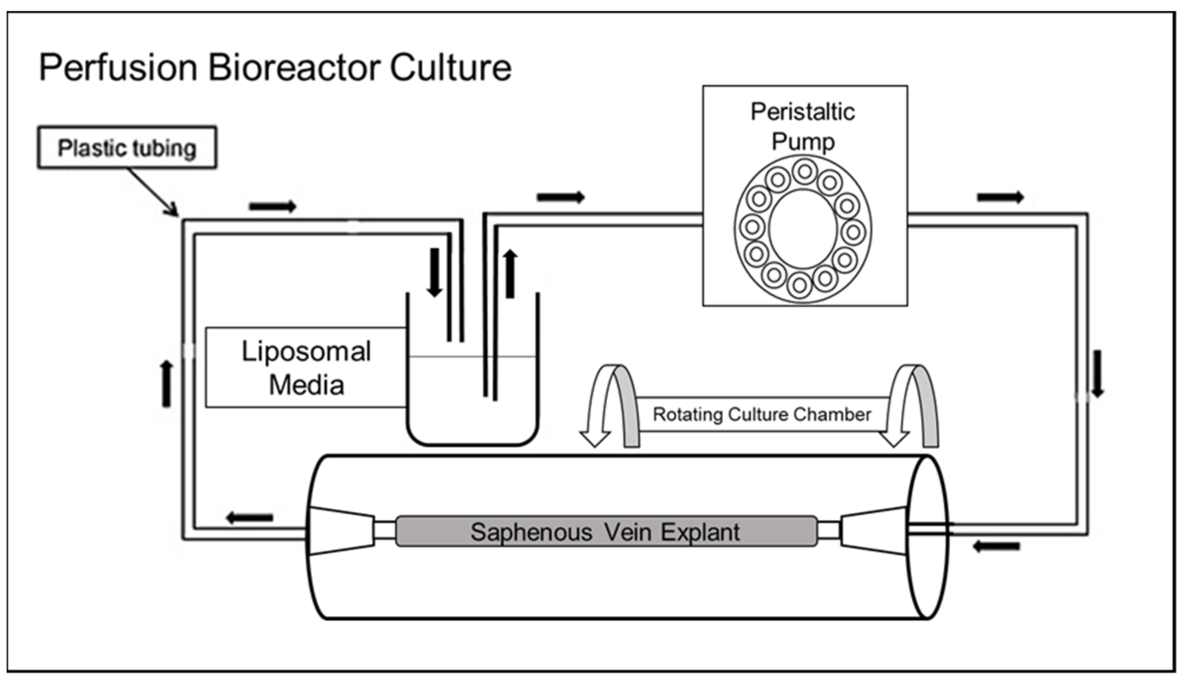 Pharmaceutics 13 01816 g004