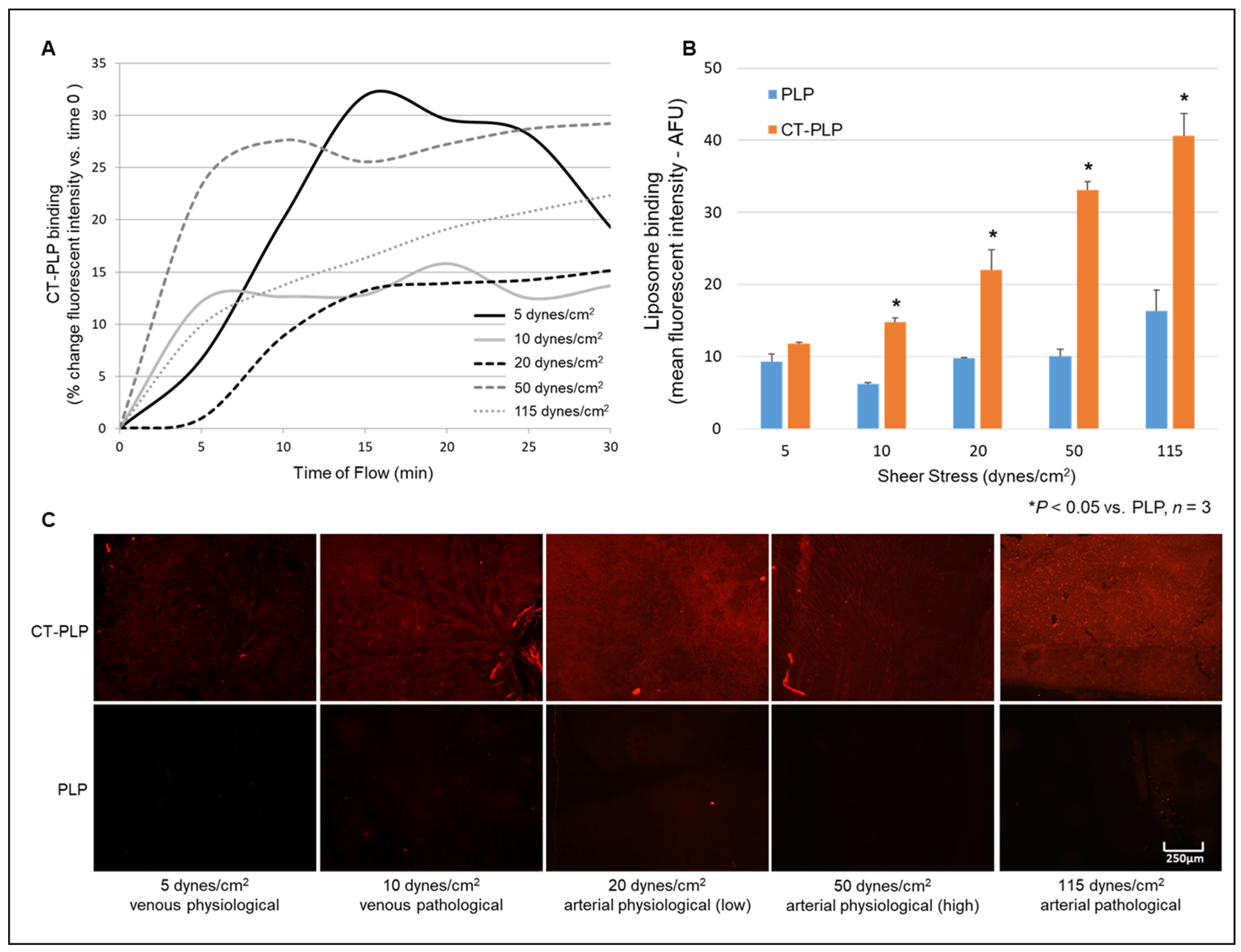 Pharmaceutics 13 01816 g007