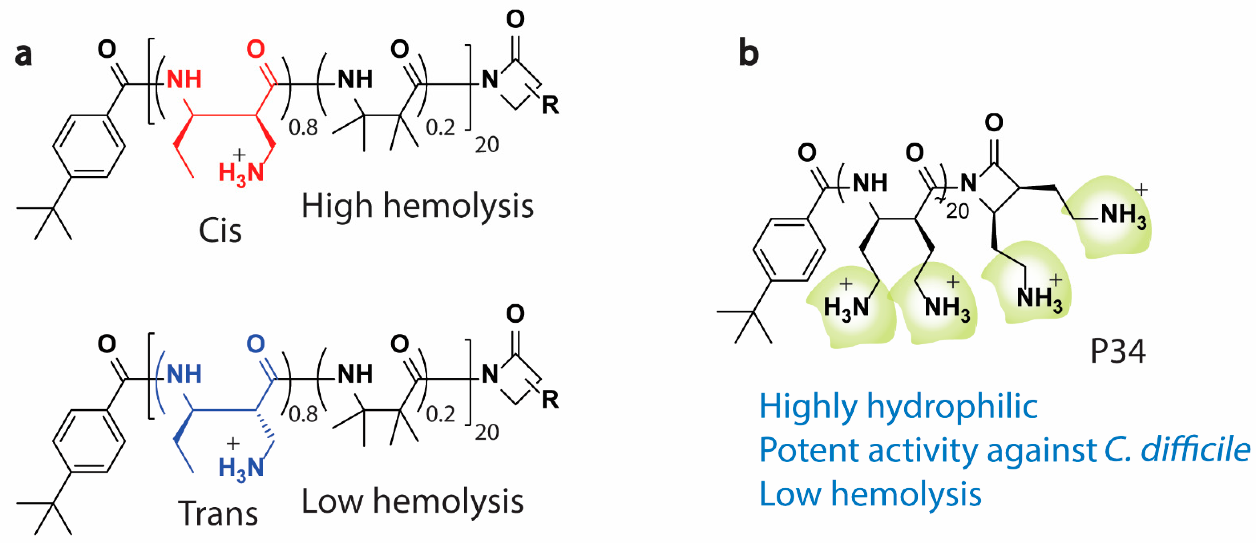 Pharmaceutics Free Full Text Host Defense Peptide Mimicking Polymers And Polymeric Brush