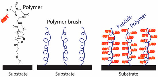 Nylon Brushes Guide: Types, Features, Applications - Benchmark