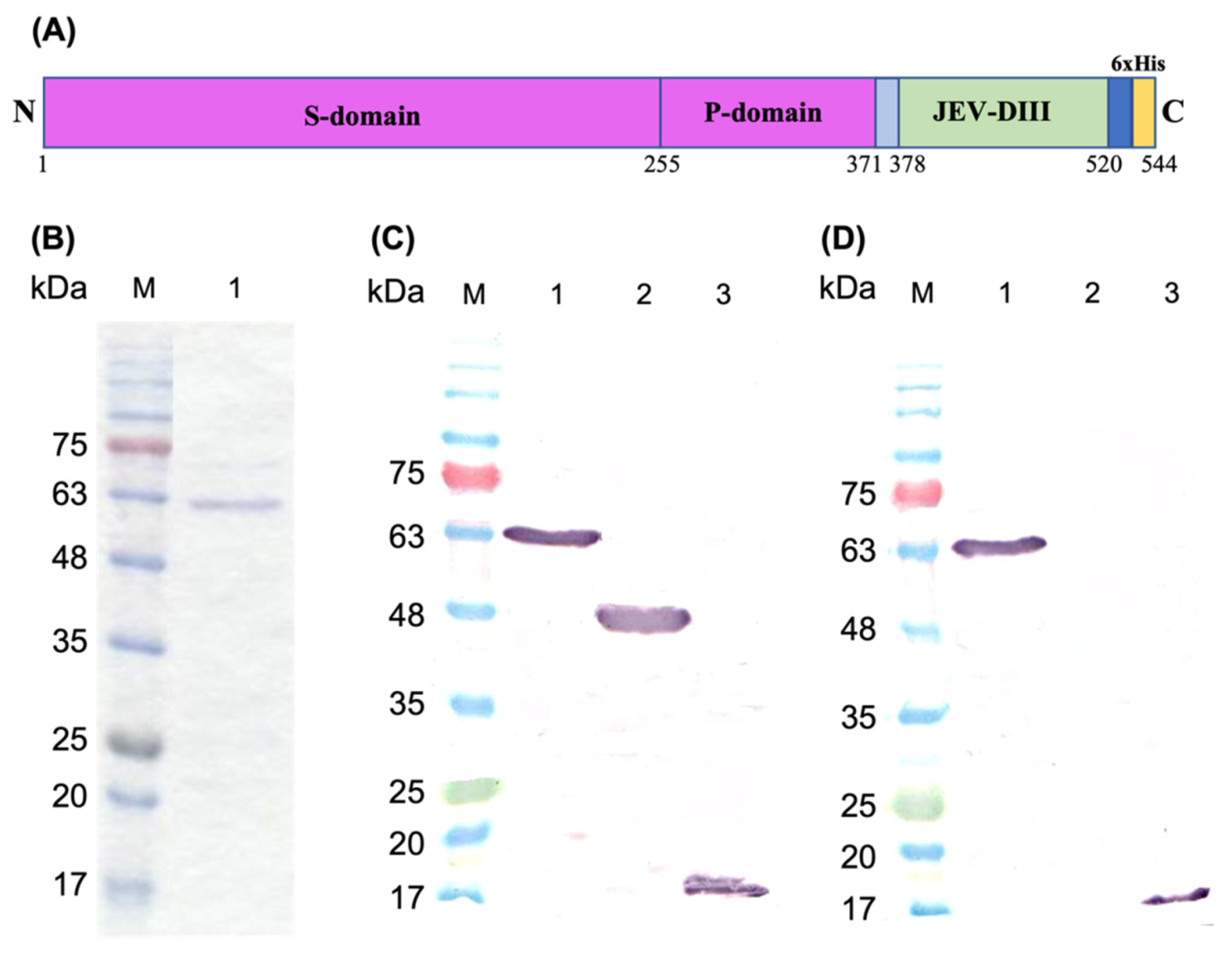 Pharmaceutics 13 01826 g001 Pharmaceutics 13 01826 g001