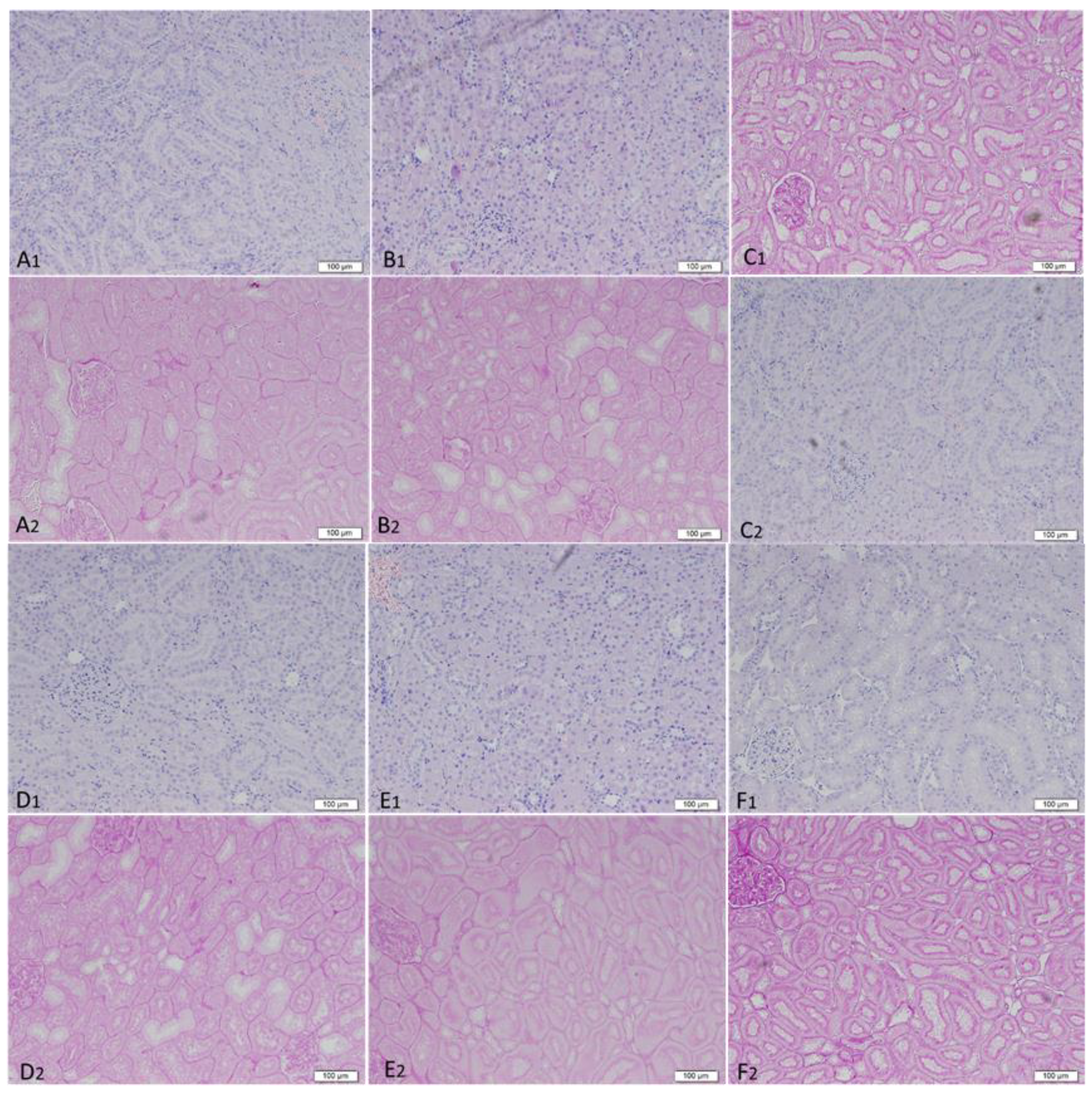 Pharmaceutics Free Full Text Safety and Efficacy of Combined