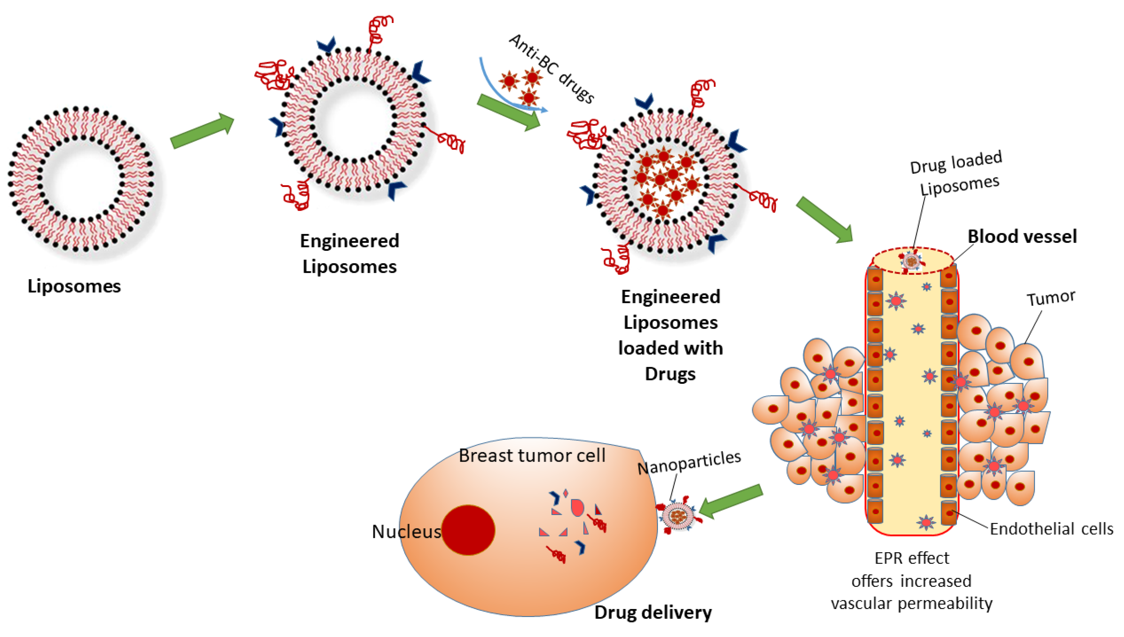 Pharmaceutics 13 01829 g002 Pharmaceutics 13 01829 g002