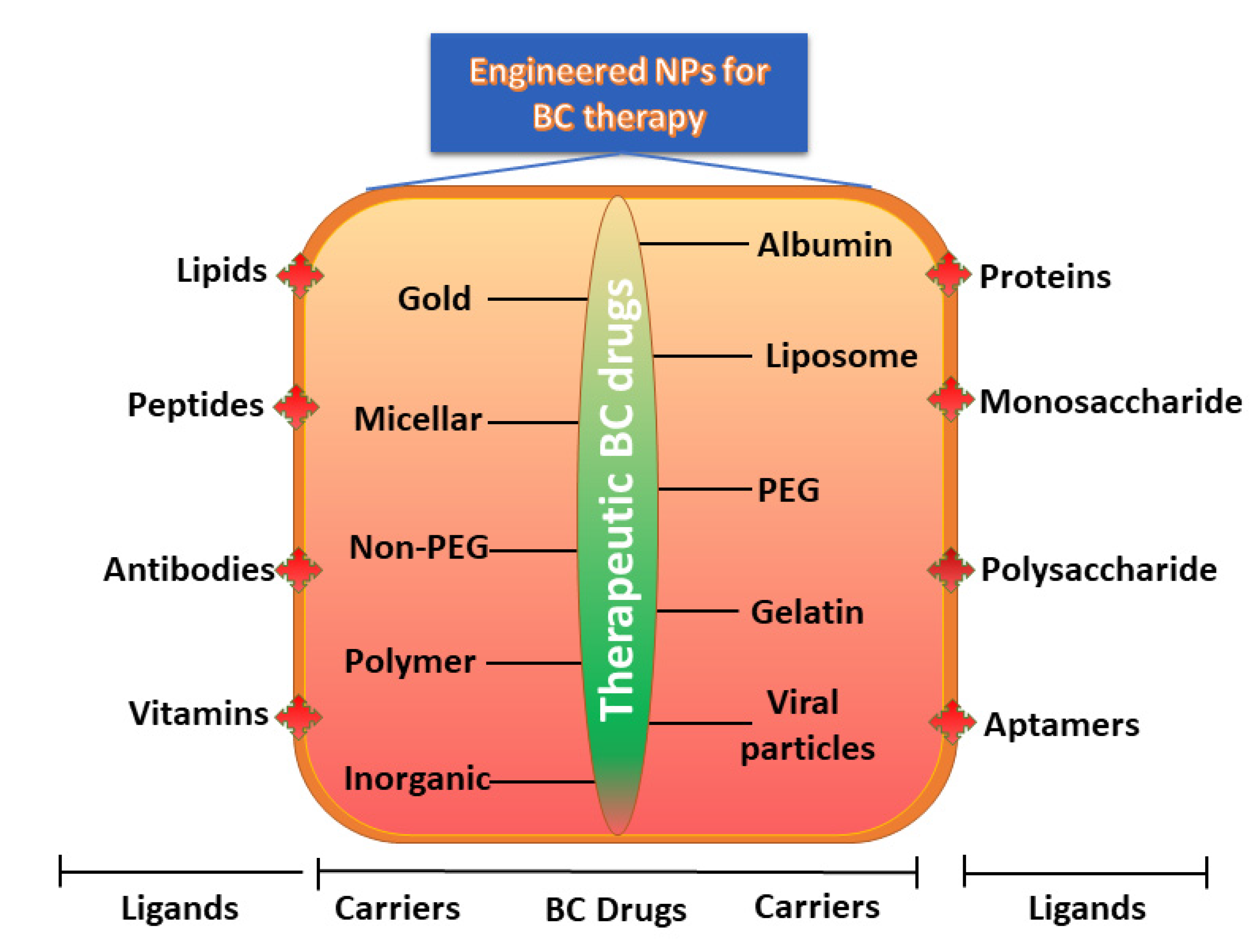 Pharmaceutics 13 01829 g006 Pharmaceutics 13 01829 g006