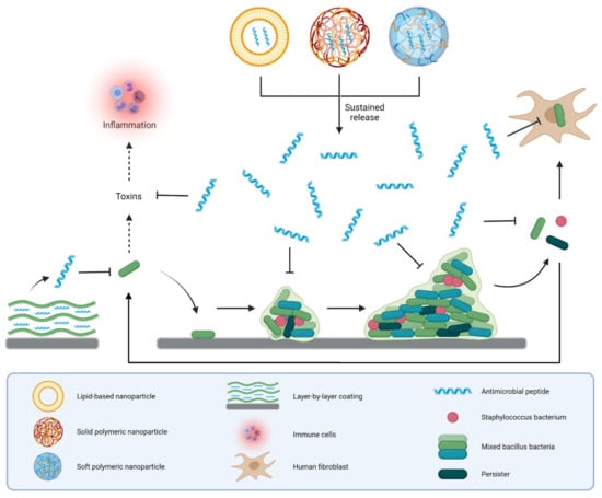 Pharmaceutics | Free Full-Text | Current Advances in Lipid and 