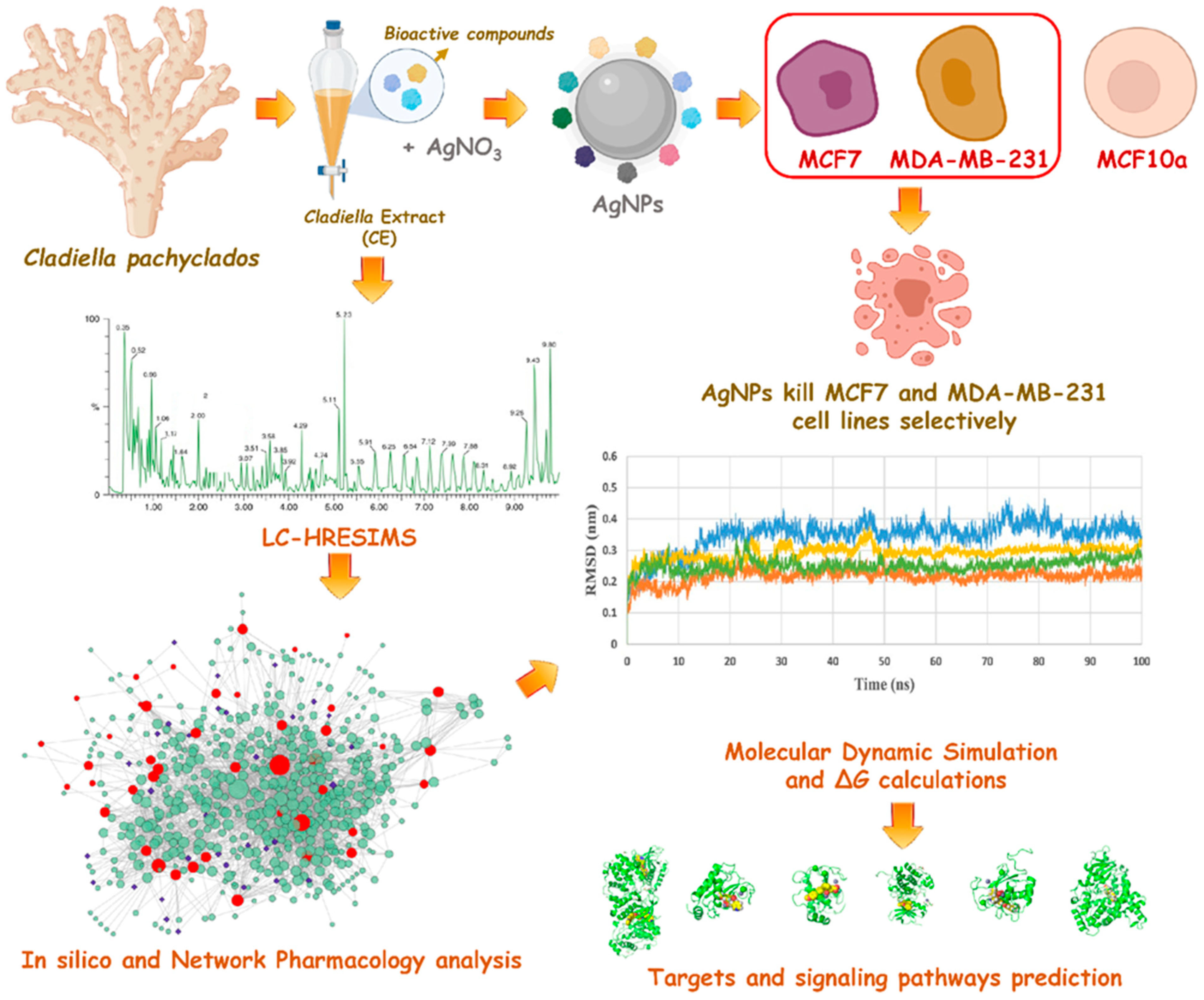 Pharmaceutics 13 01846 g001