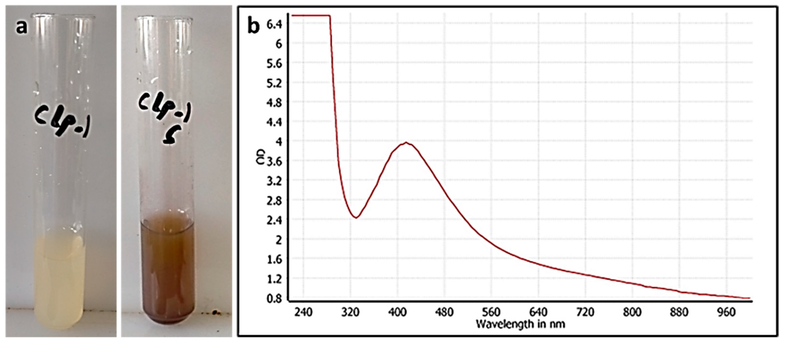 Pharmaceutics 13 01846 g002