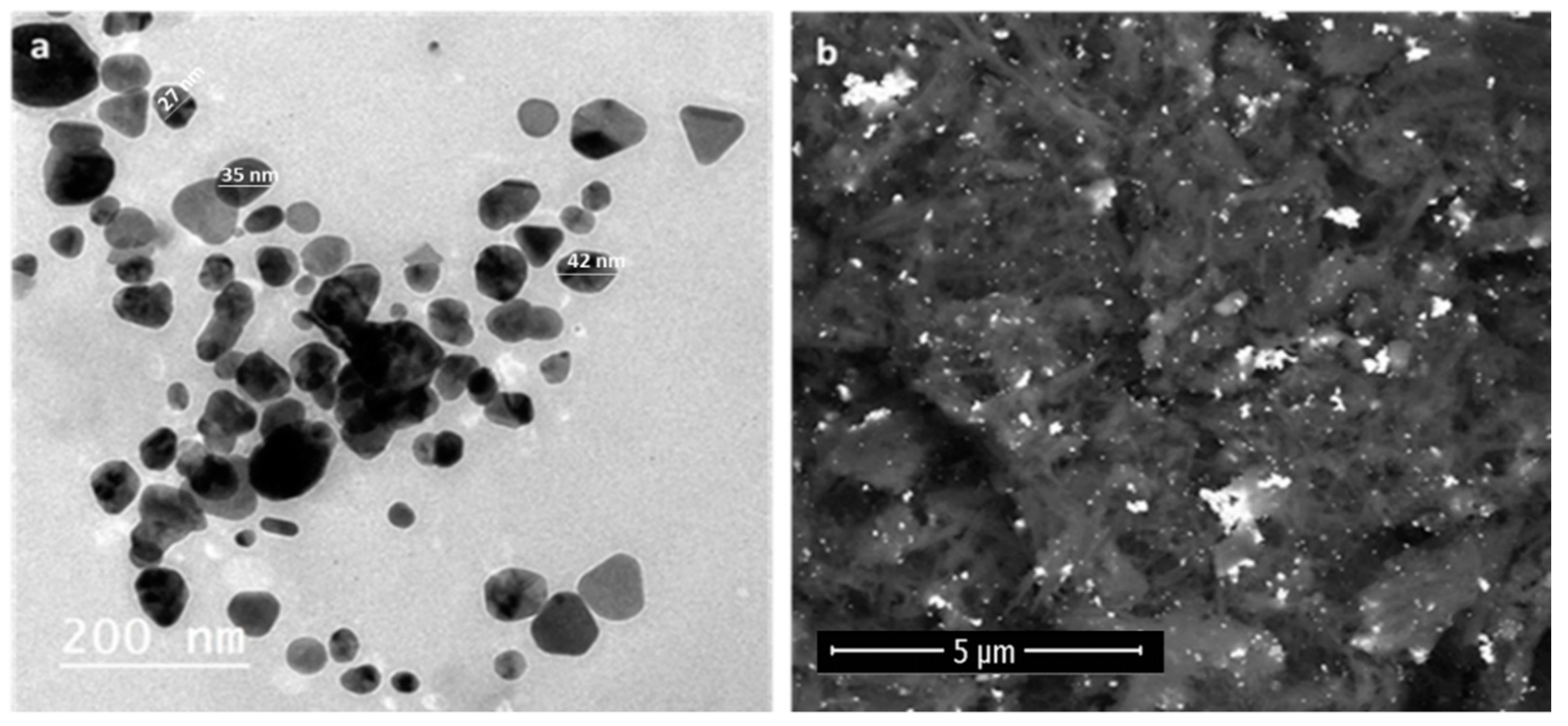 Pharmaceutics 13 01846 g003
