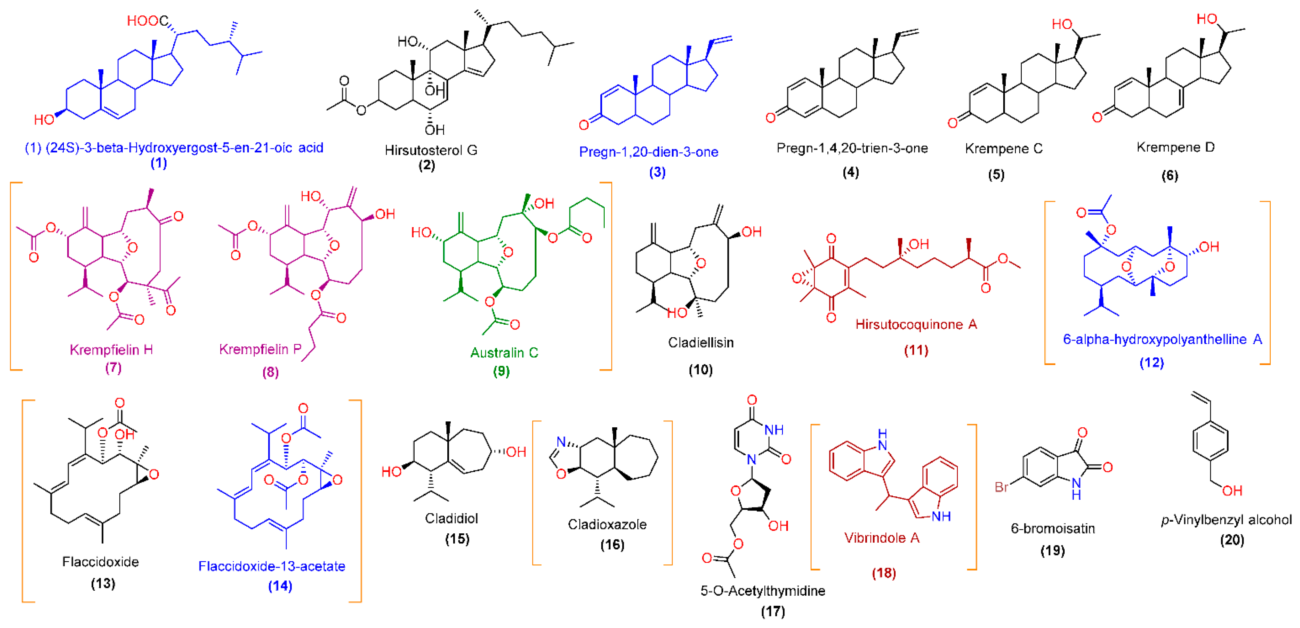 Pharmaceutics 13 01846 g005