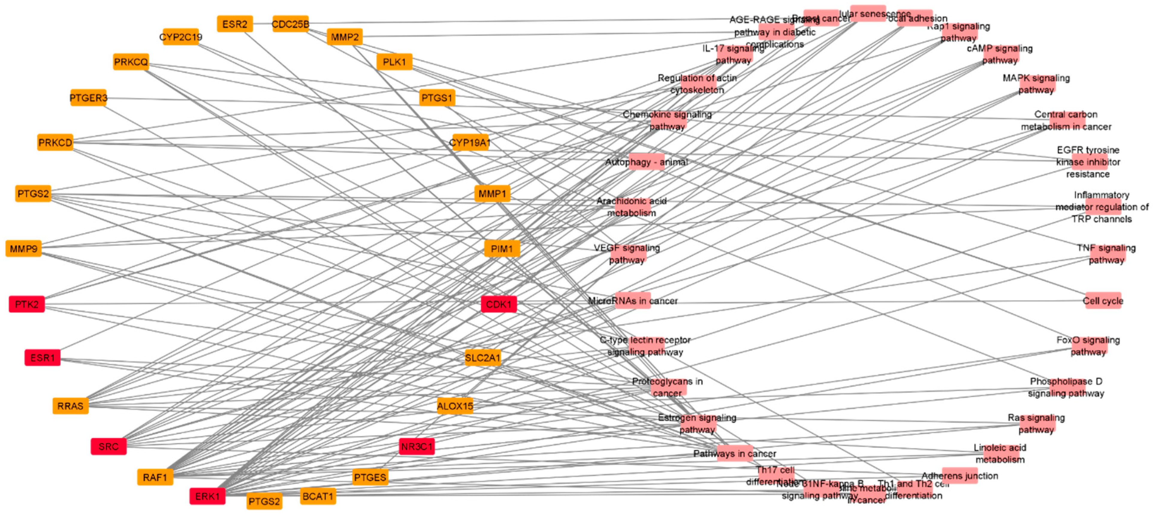 Pharmaceutics 13 01846 g013