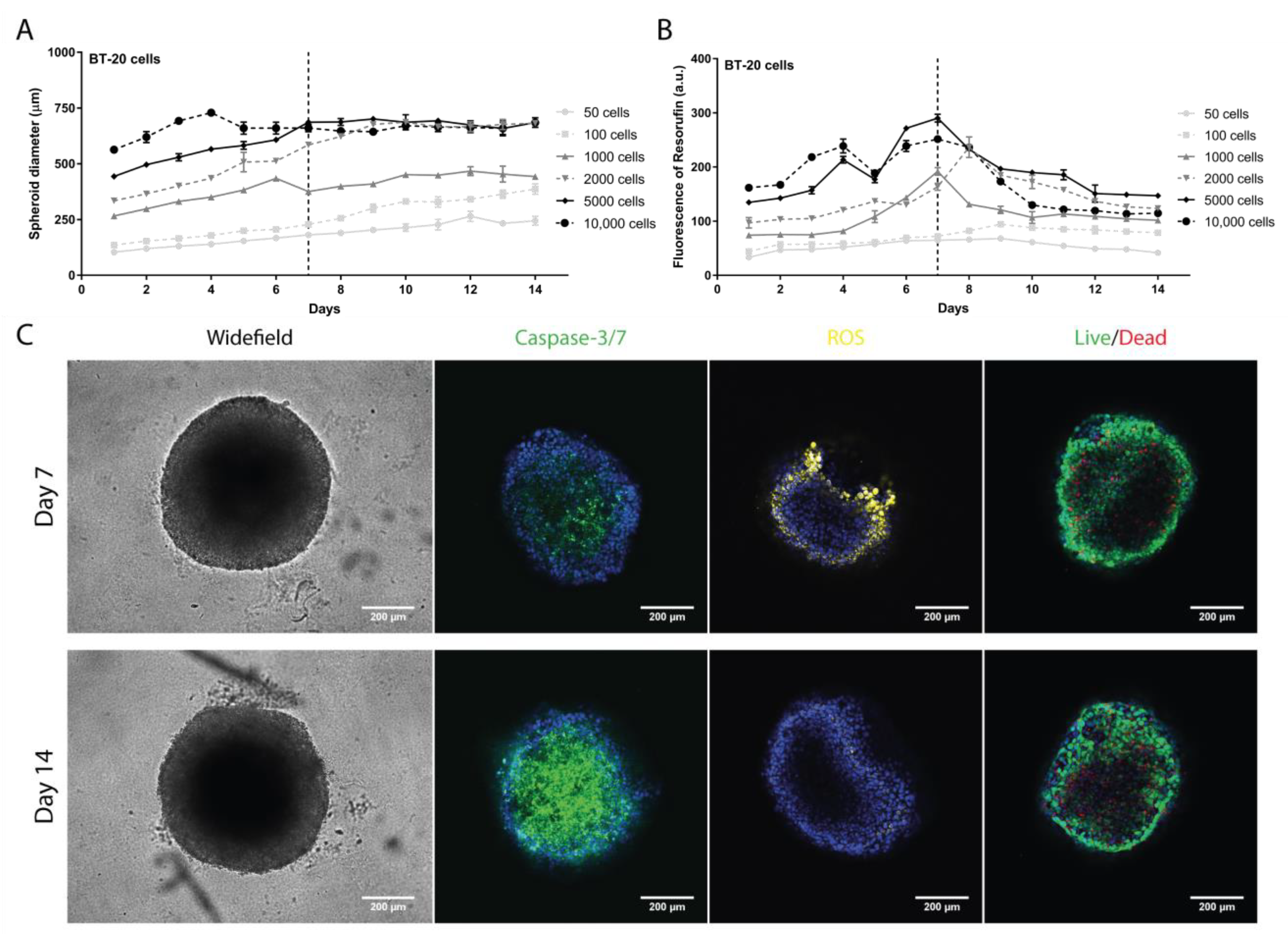 Pharmaceutics 13 01863 g002