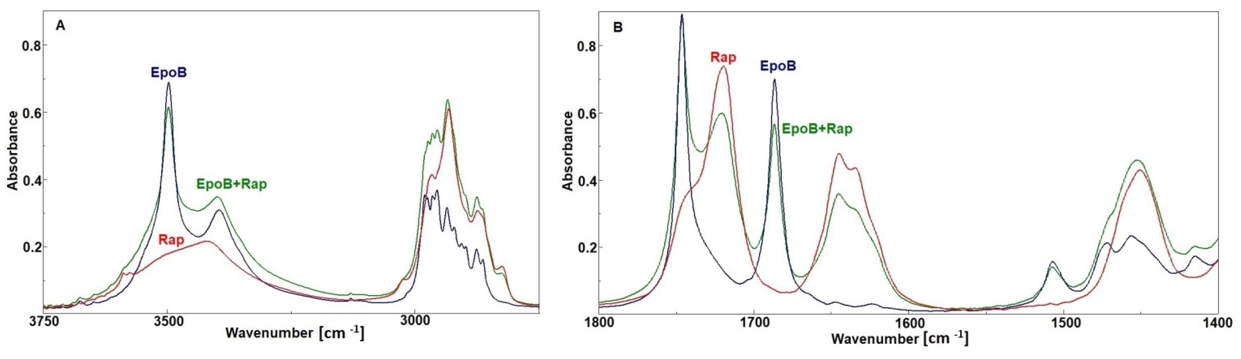 Pharmaceutics 13 01881 g006