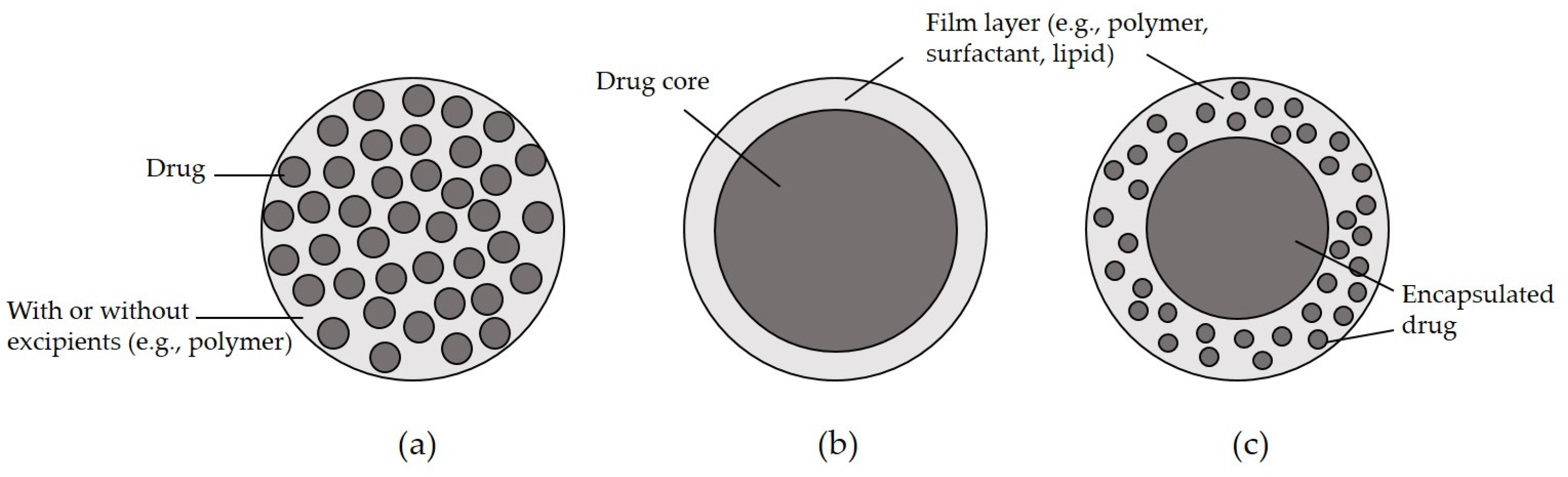 Pharmaceutics 13 01928 g001 Pharmaceutics 13 01928 g001