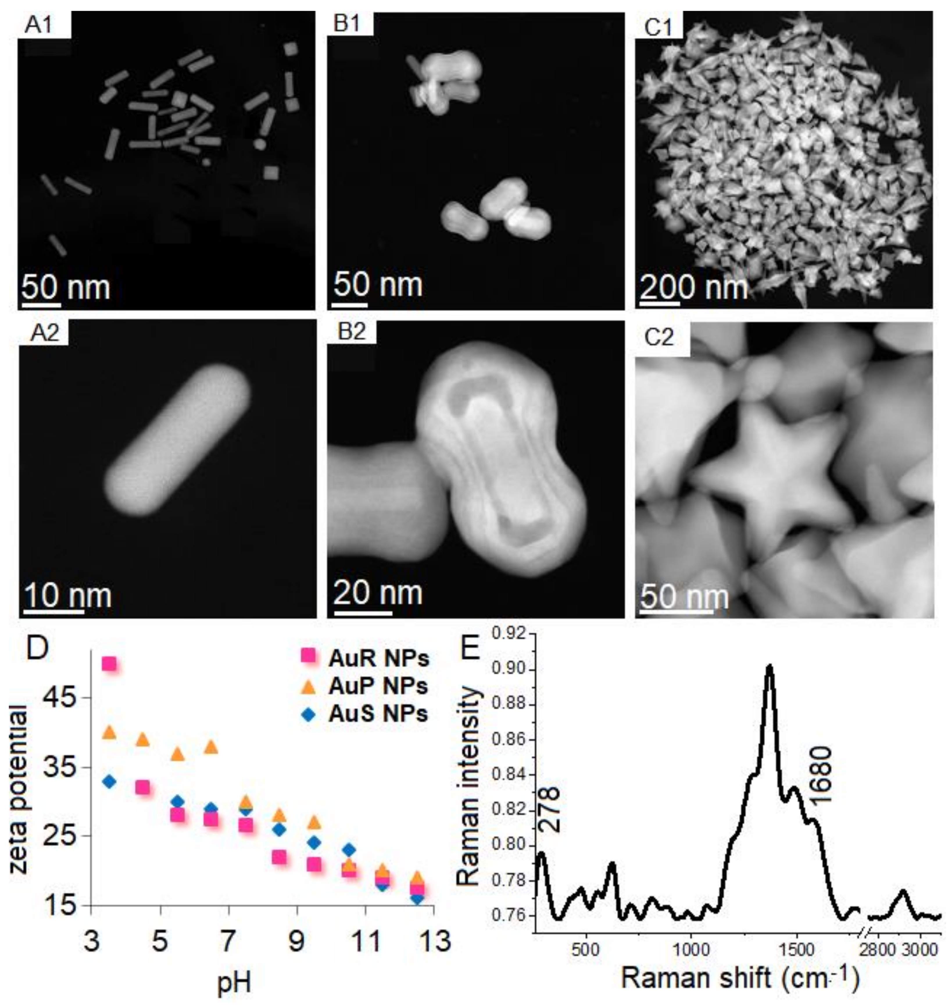 Pharmaceutics 13 01940 g001
