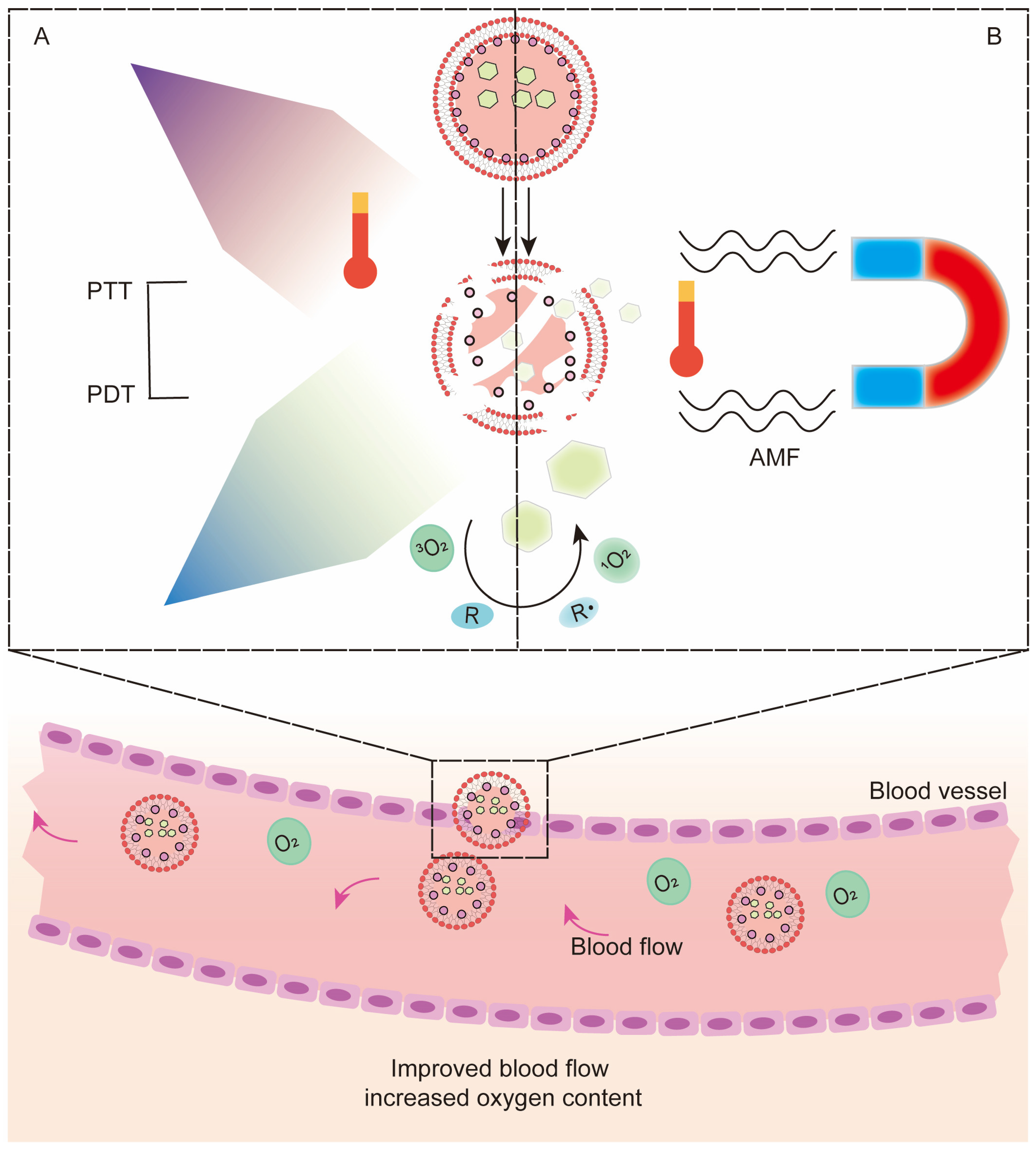Pharmaceutics 13 01951 g004