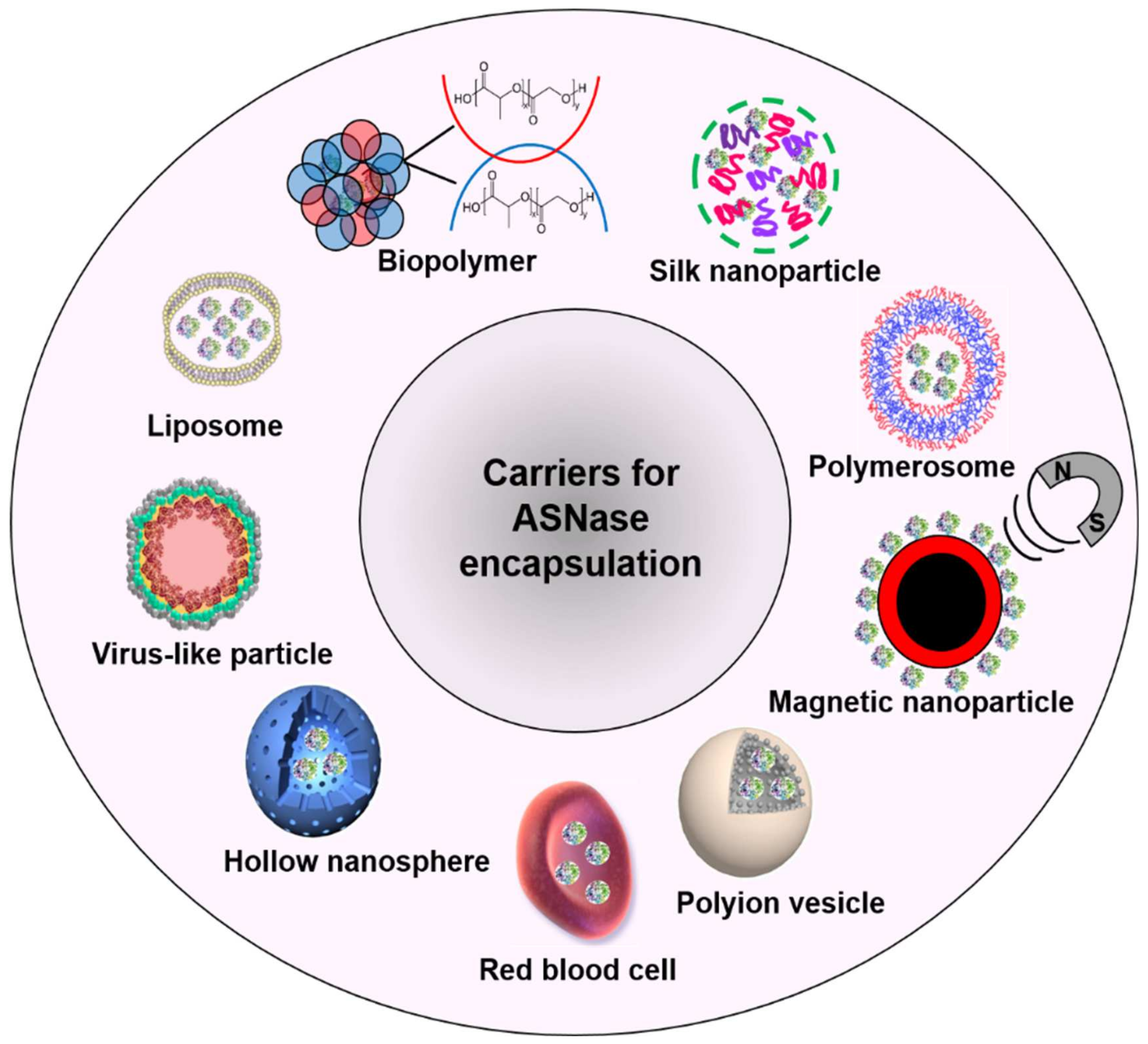 Pharmaceutics 13 01965 g003