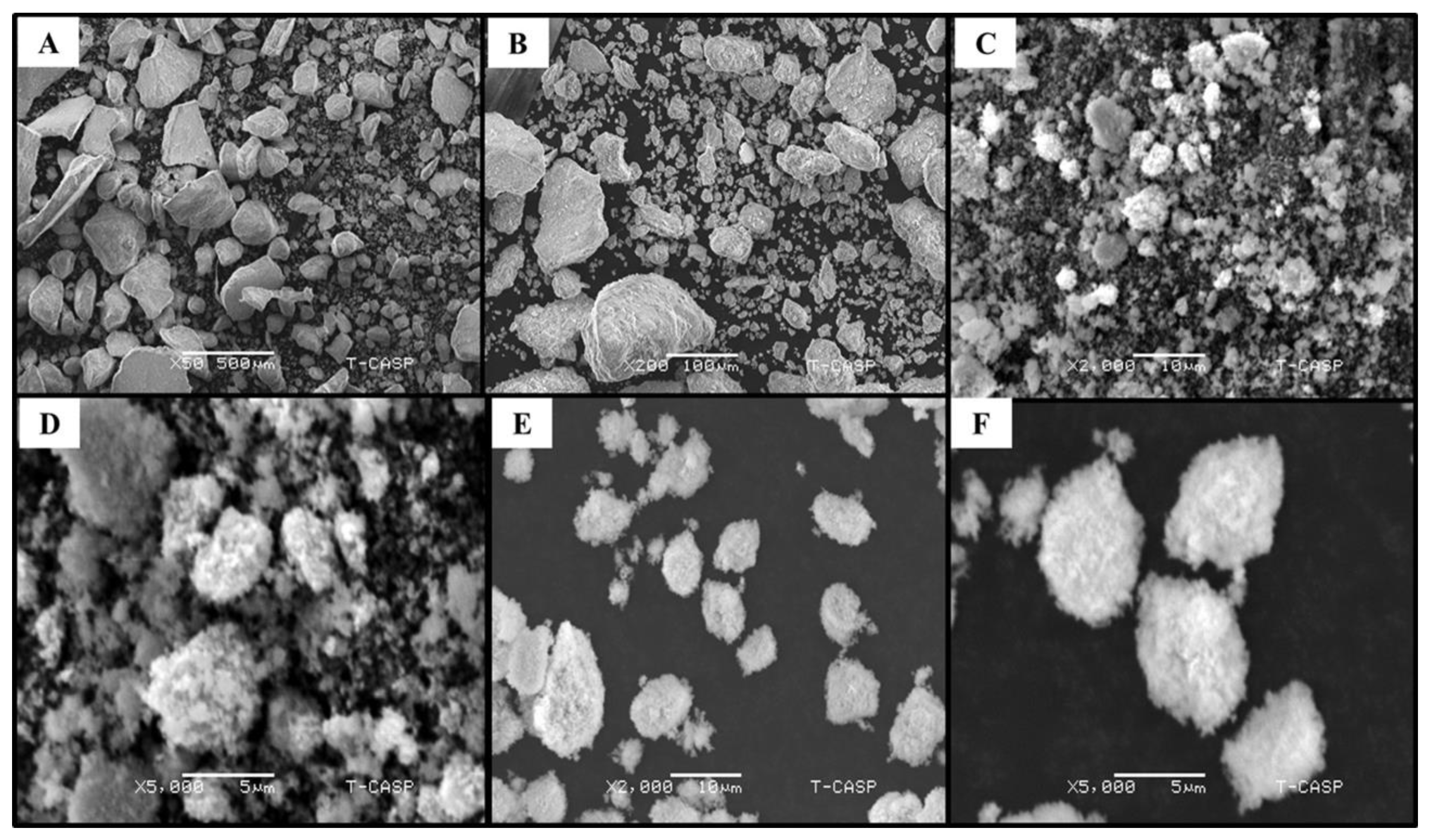Pharmaceutics 13 01977 g003