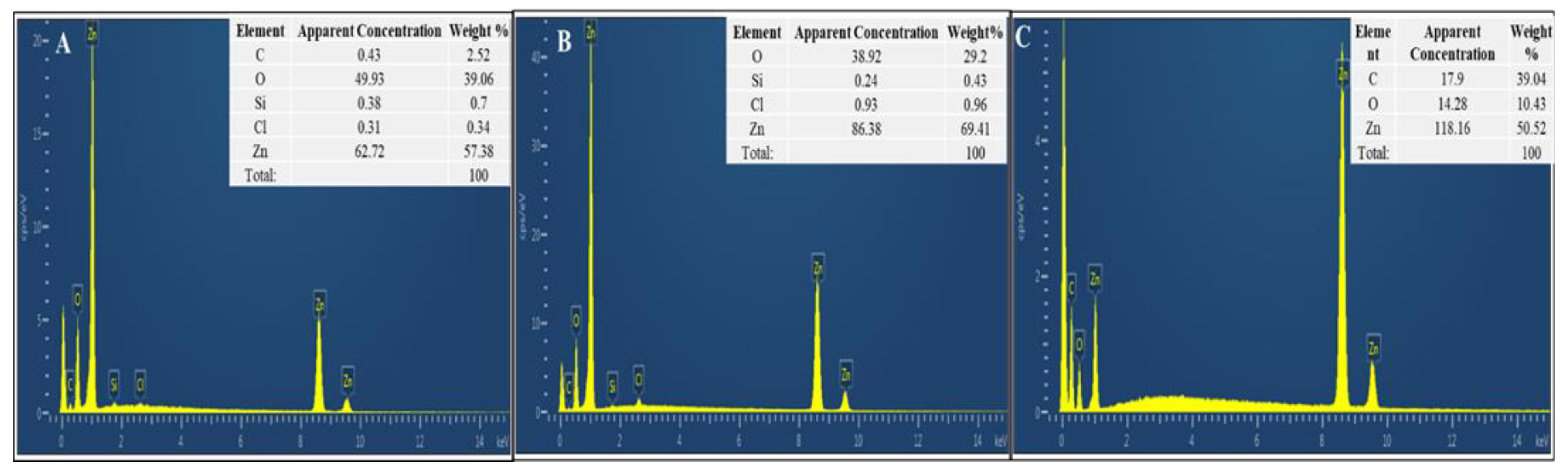 Pharmaceutics 13 01977 g004