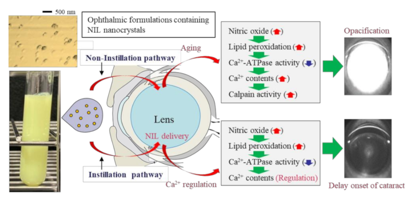 Pharmaceutics Free Full Text Instillation Of Ophthalmic Formulation