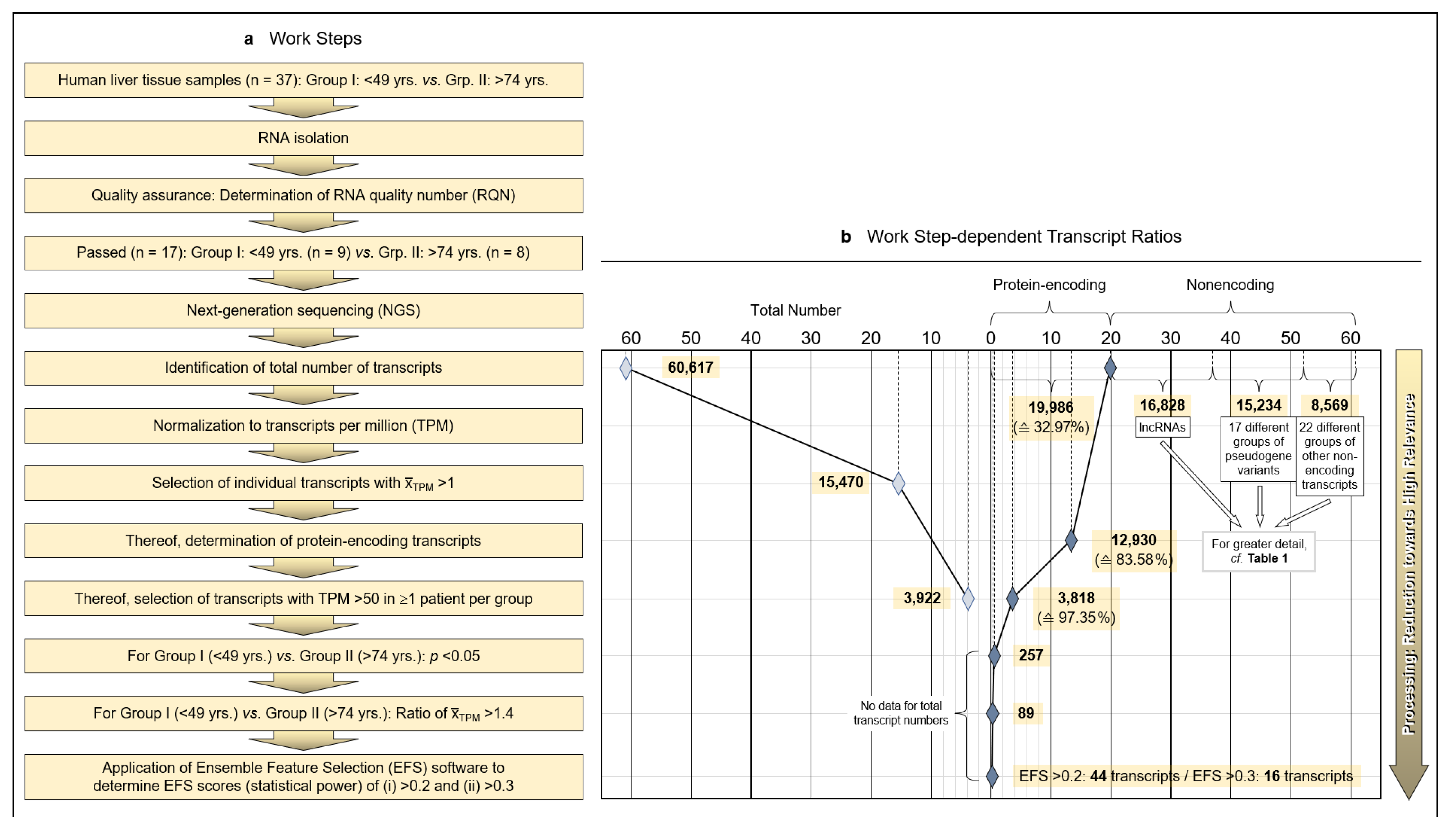 Pharmaceutics 13 02009 g001a