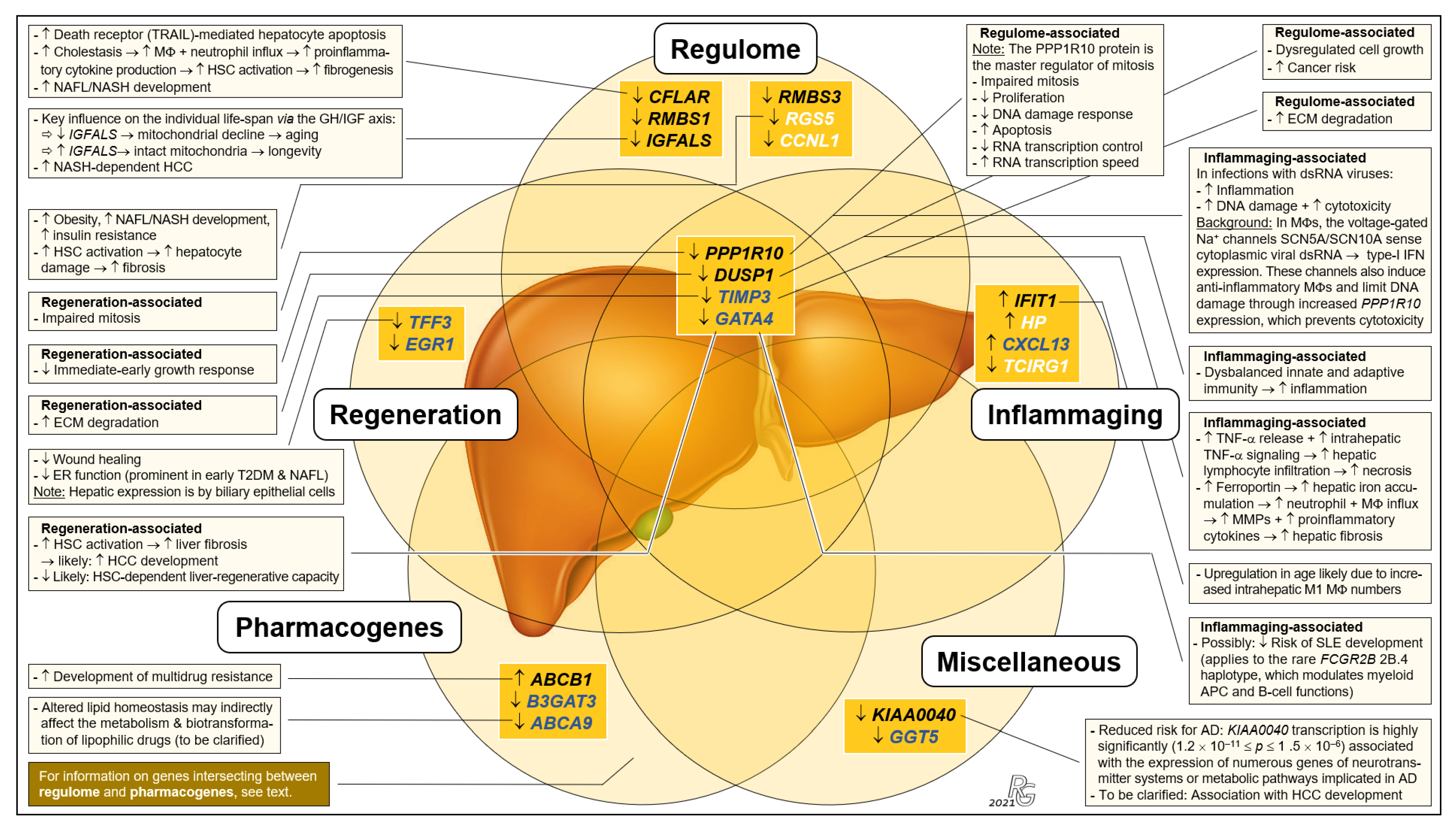 Pharmaceutics 13 02009 g003