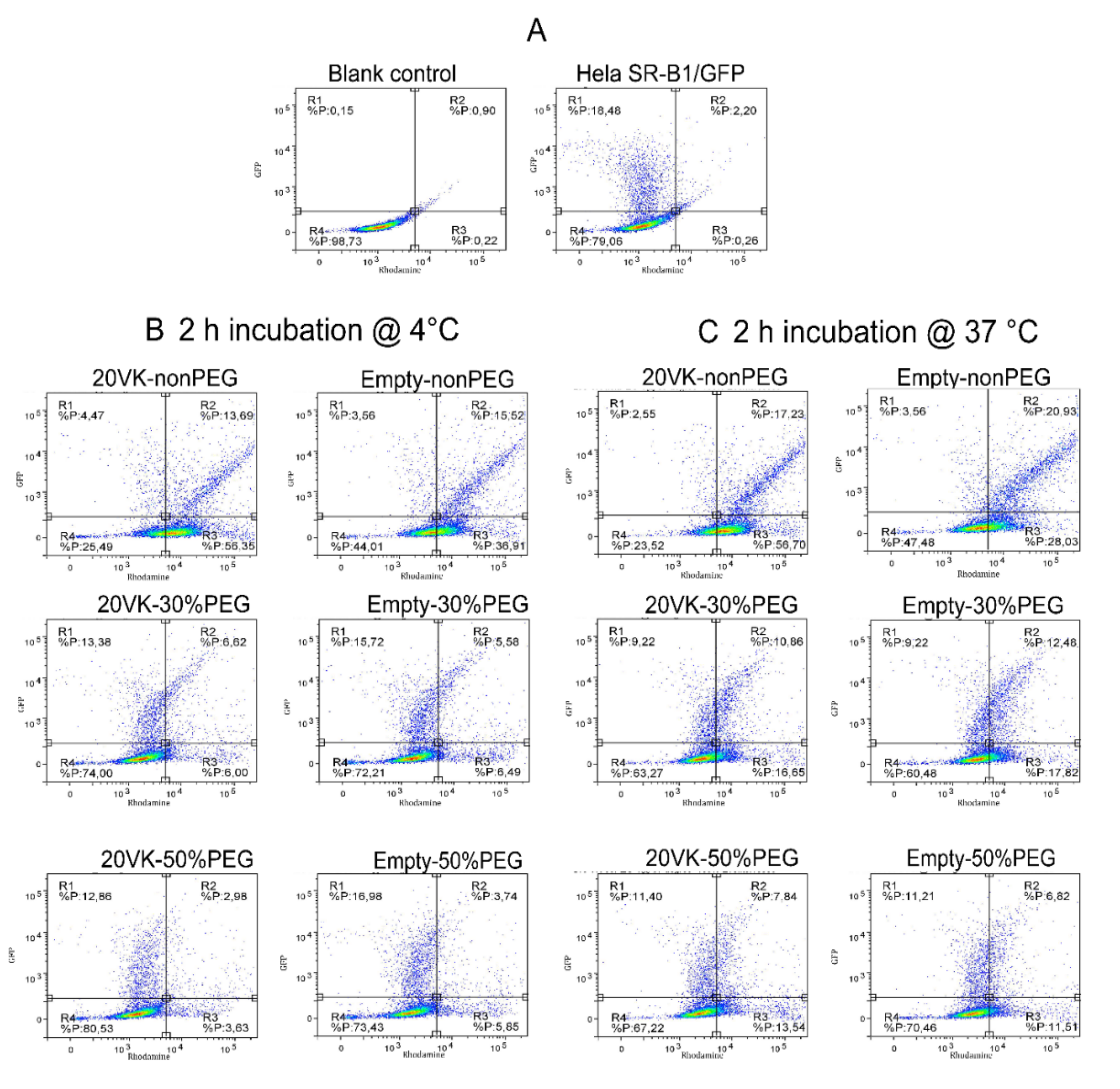 Pharmaceutics 13 02022 g004a Pharmaceutics 13 02022 g004a