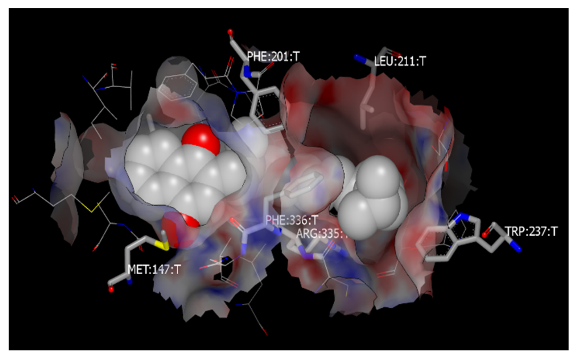 Pharmaceutics 13 02022 g006 Pharmaceutics 13 02022 g006