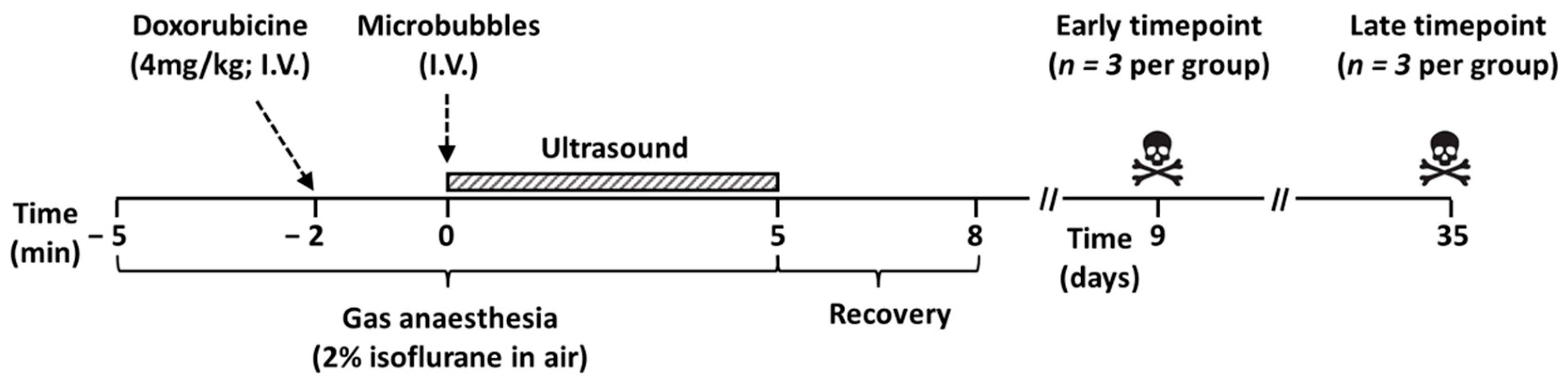 Pharmaceutics 13 02038 g001
