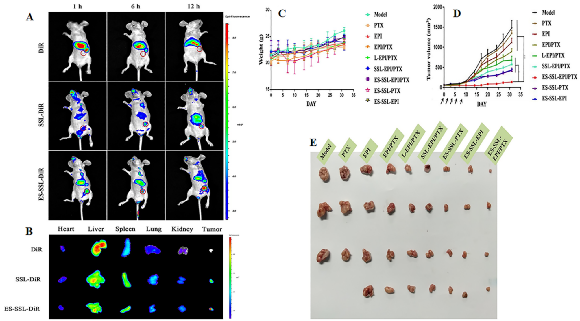 Pharmaceutics 13 02039 g006