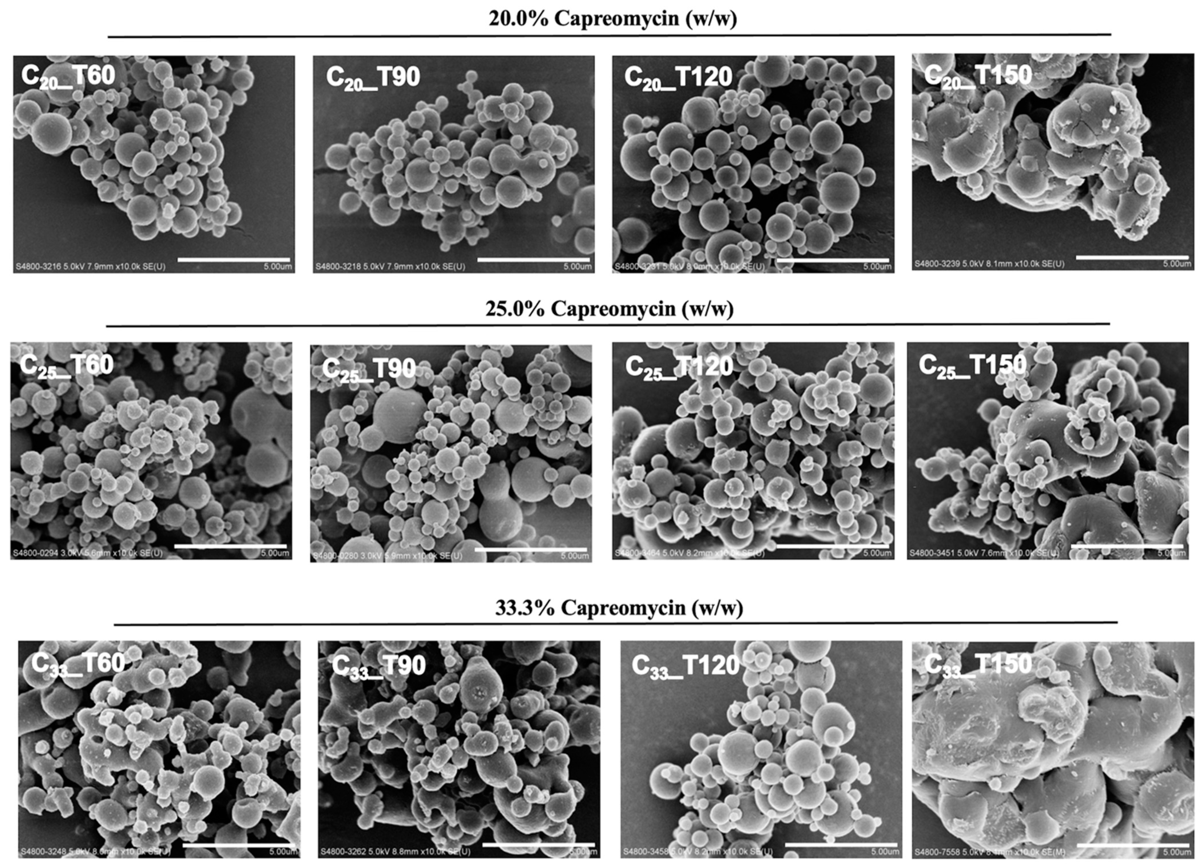 Pharmaceutics 13 02044 g001