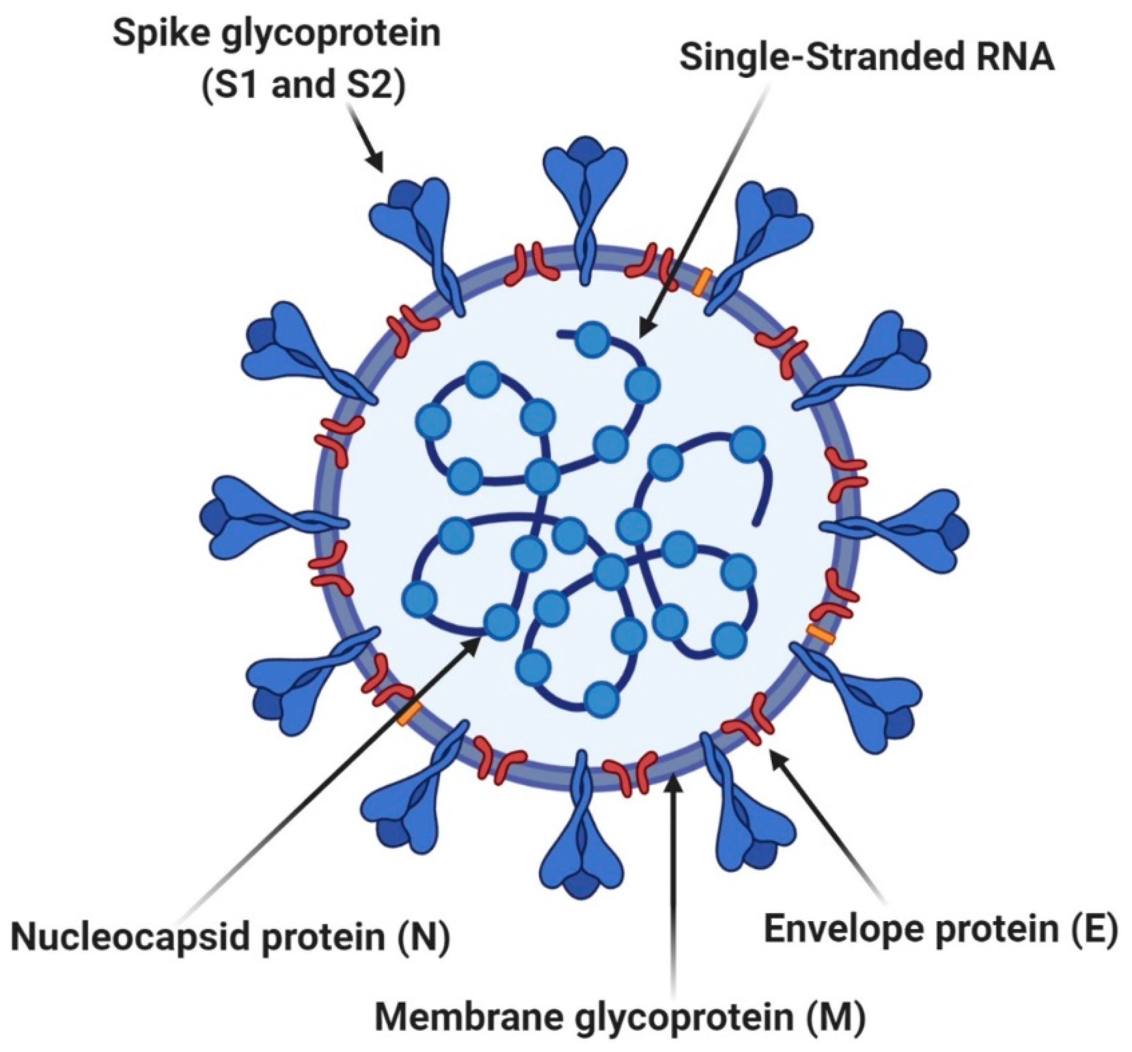 Pharmaceutics 13 02053 g004 Pharmaceutics 13 02053 g004