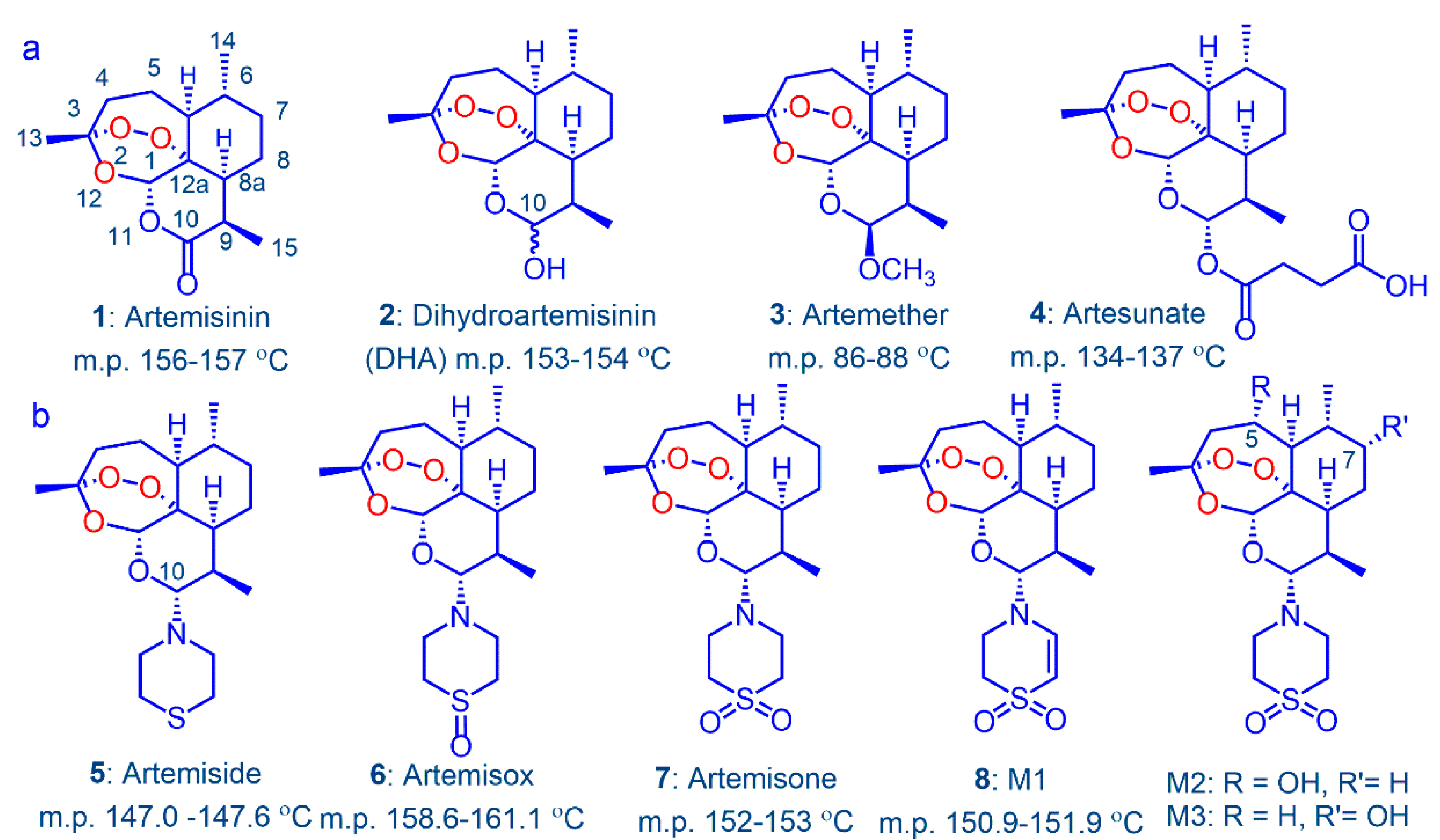 Pharmaceutics 13 02066 g001