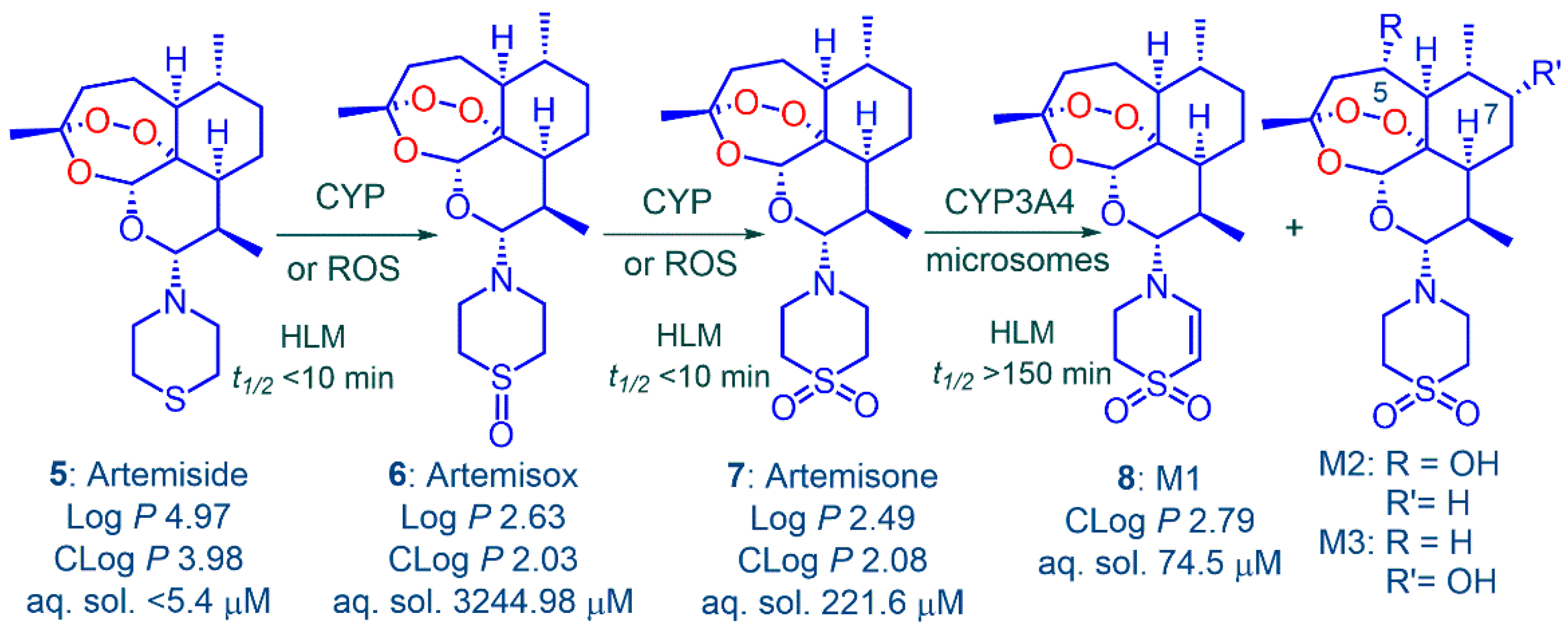 Pharmaceutics 13 02066 g005