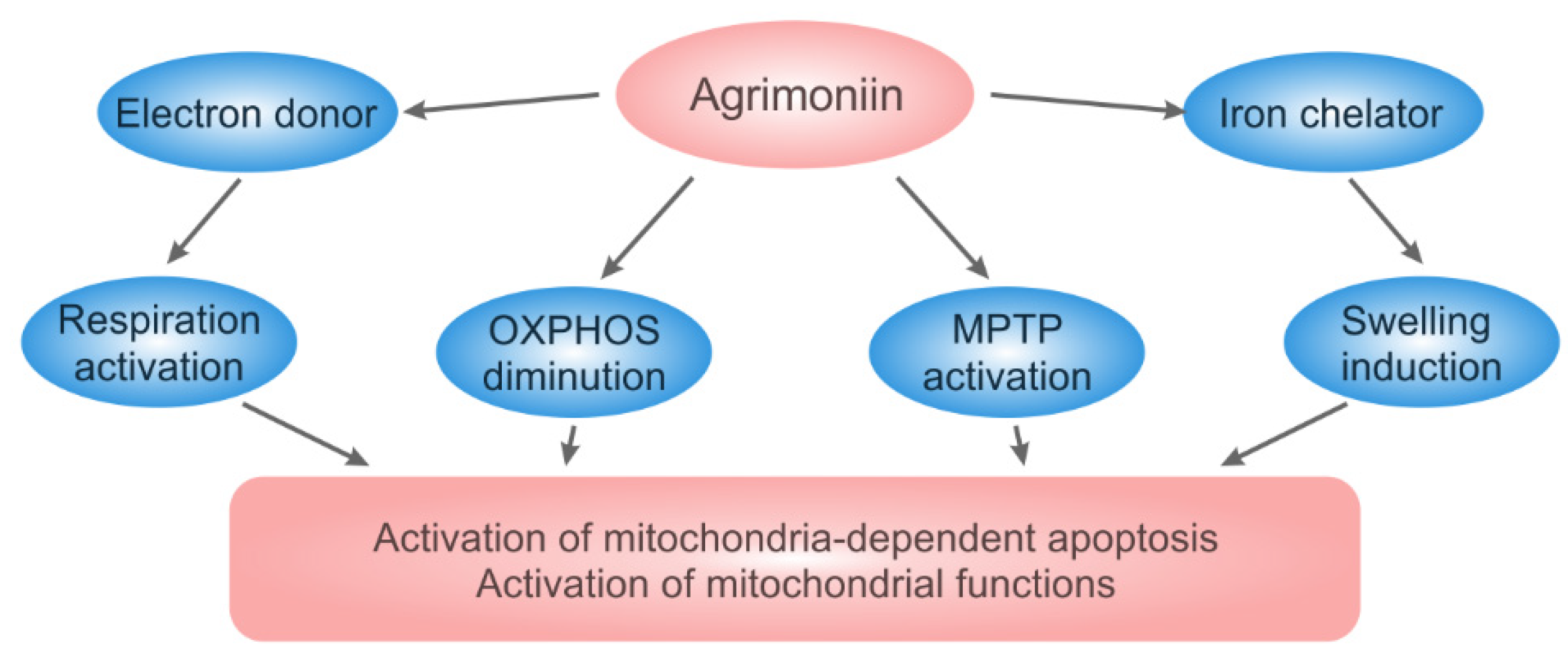 Pharmaceutics 13 02089 sch001