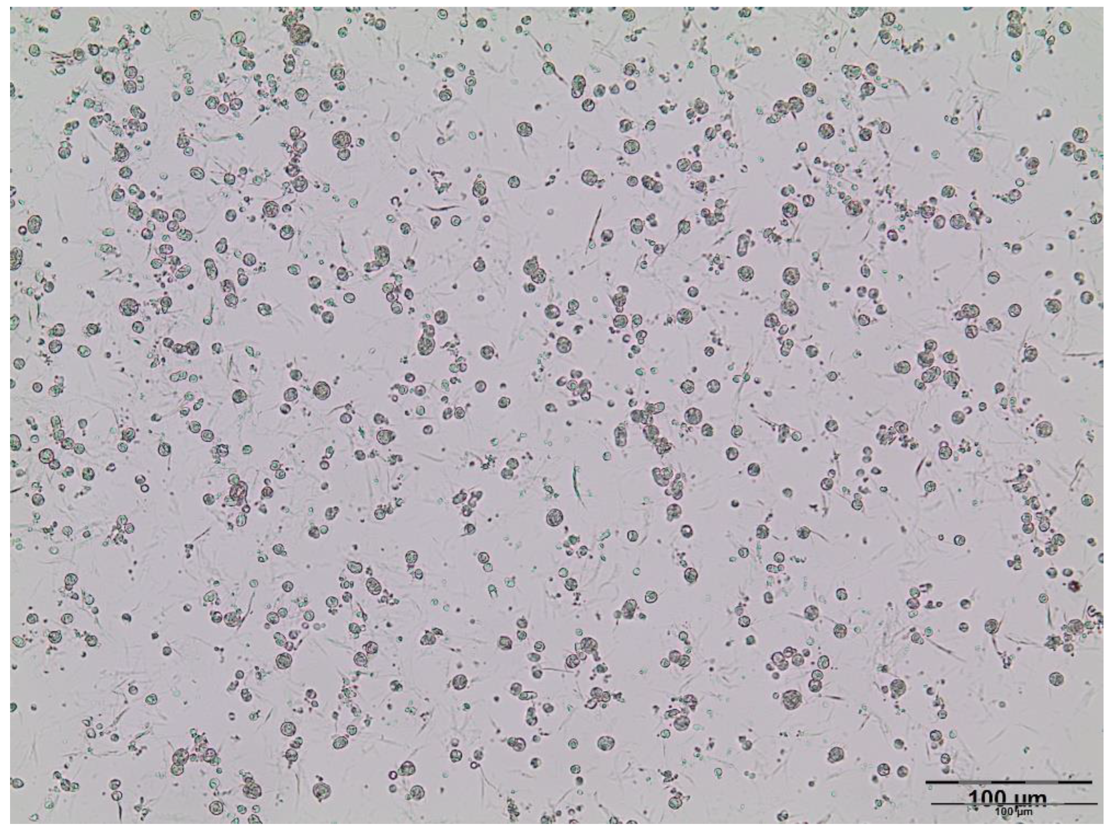 Pharmaceutics 13 02095 g002