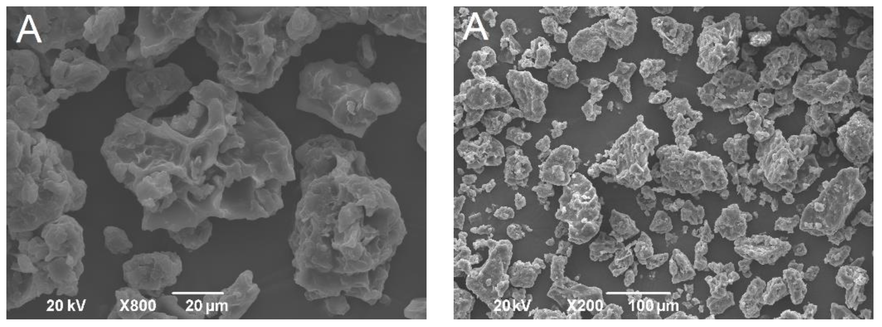Pharmaceutics 13 02095 g003a