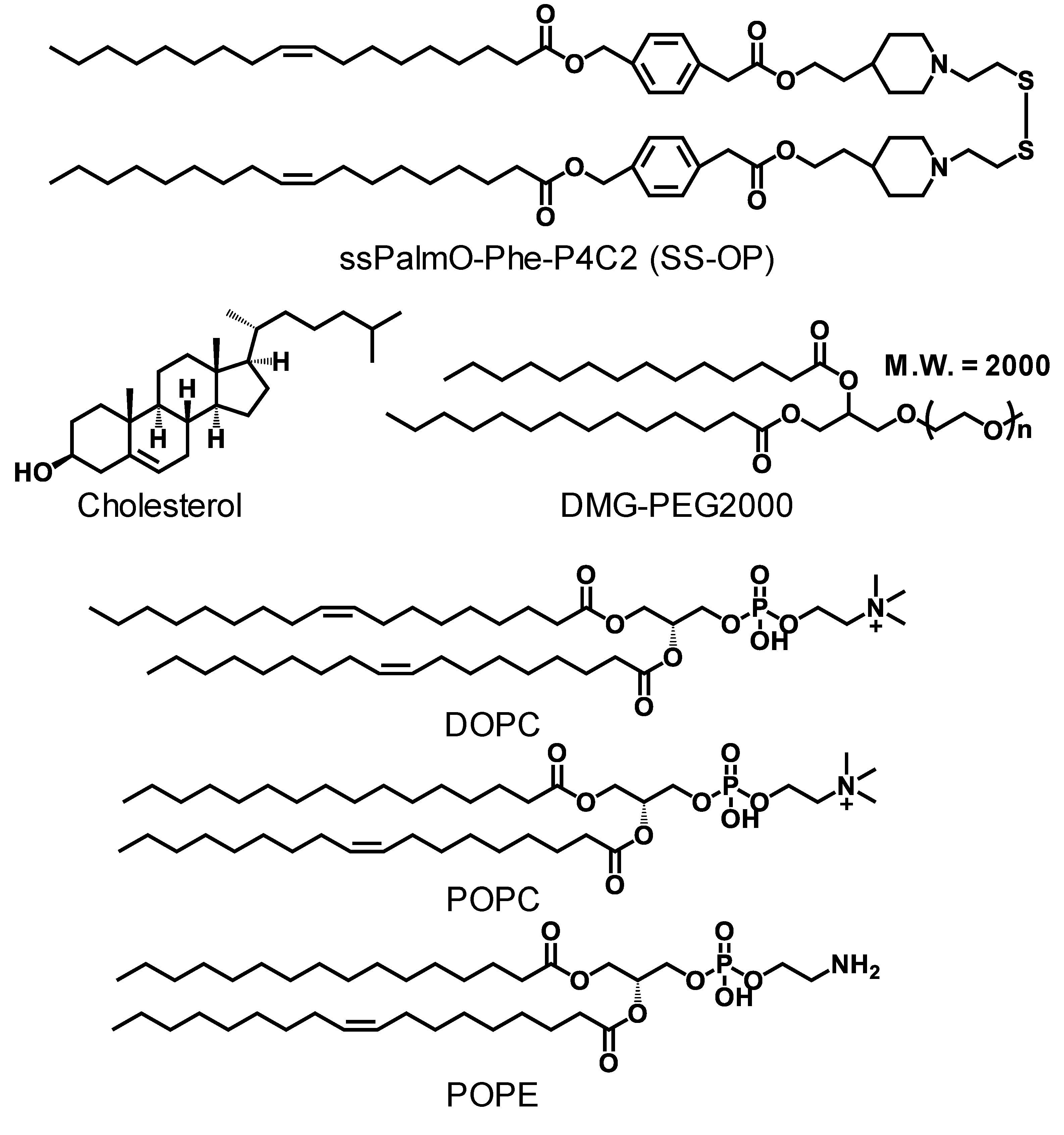 Pharmaceutics 13 02097 g001