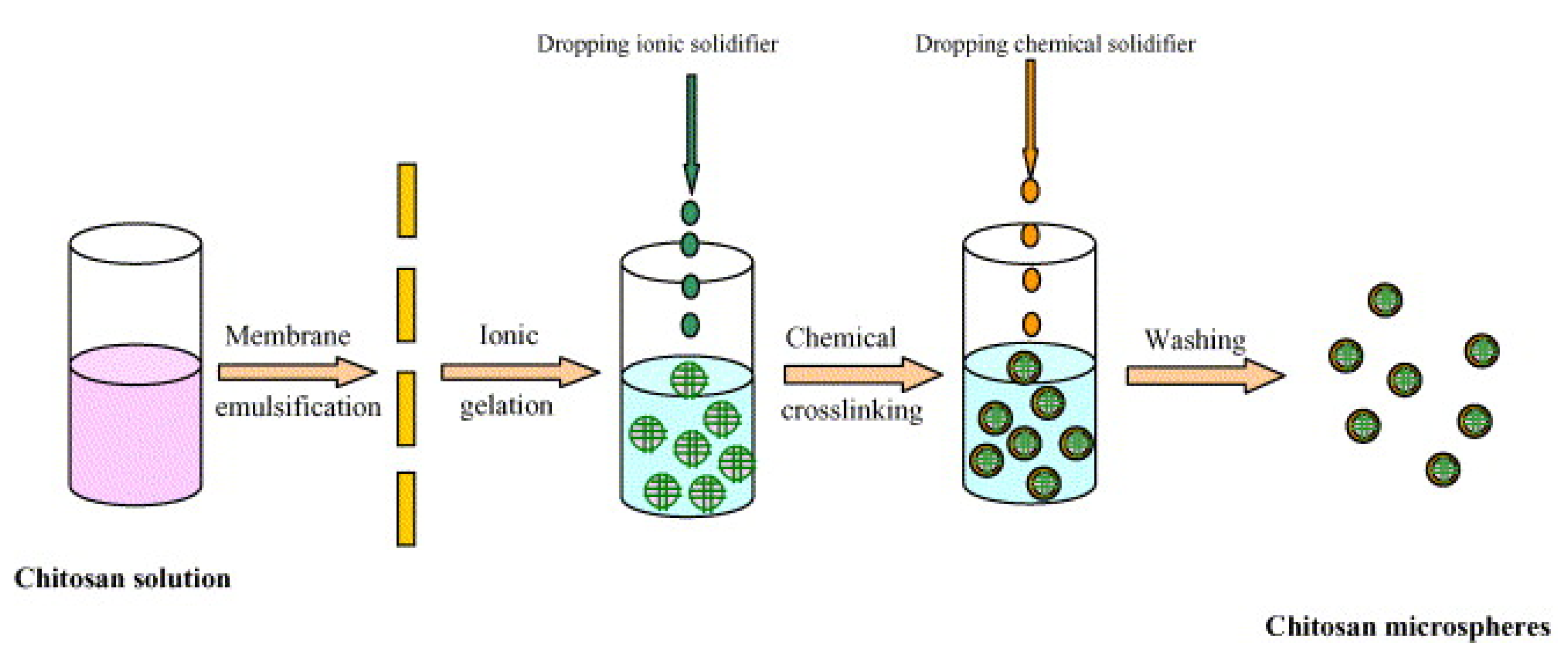 Pharmaceutics | Free Full-Text | Advanced Hydrogels for the Controlled ...