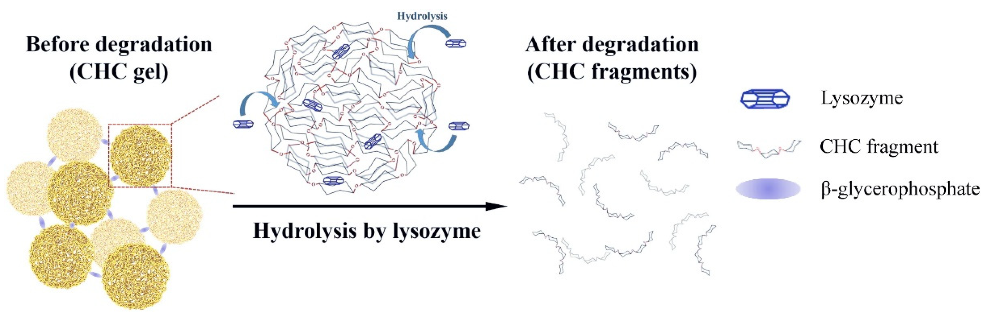Pharmaceutics 13 02113 g006