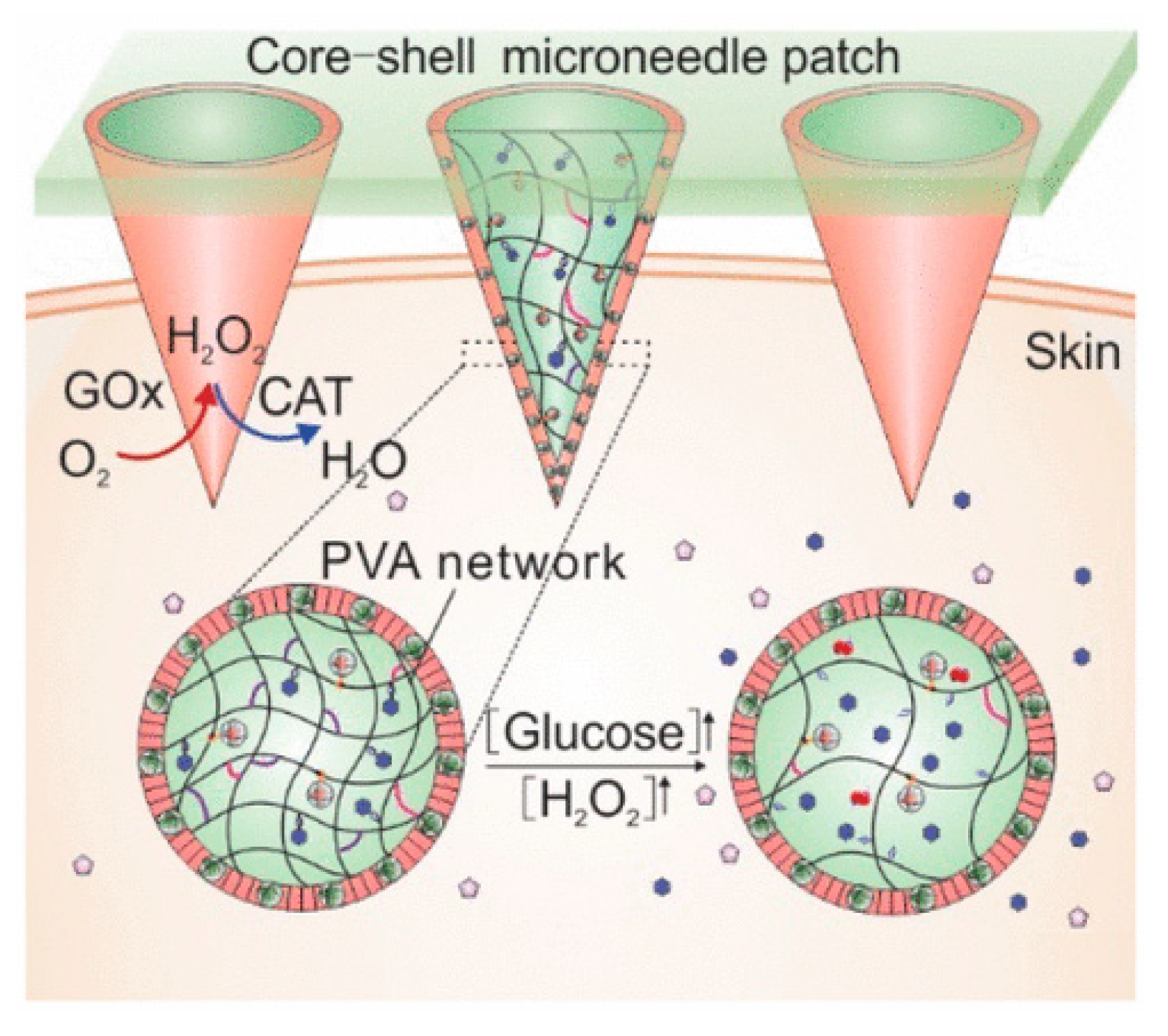 Pharmaceutics 13 02113 g007