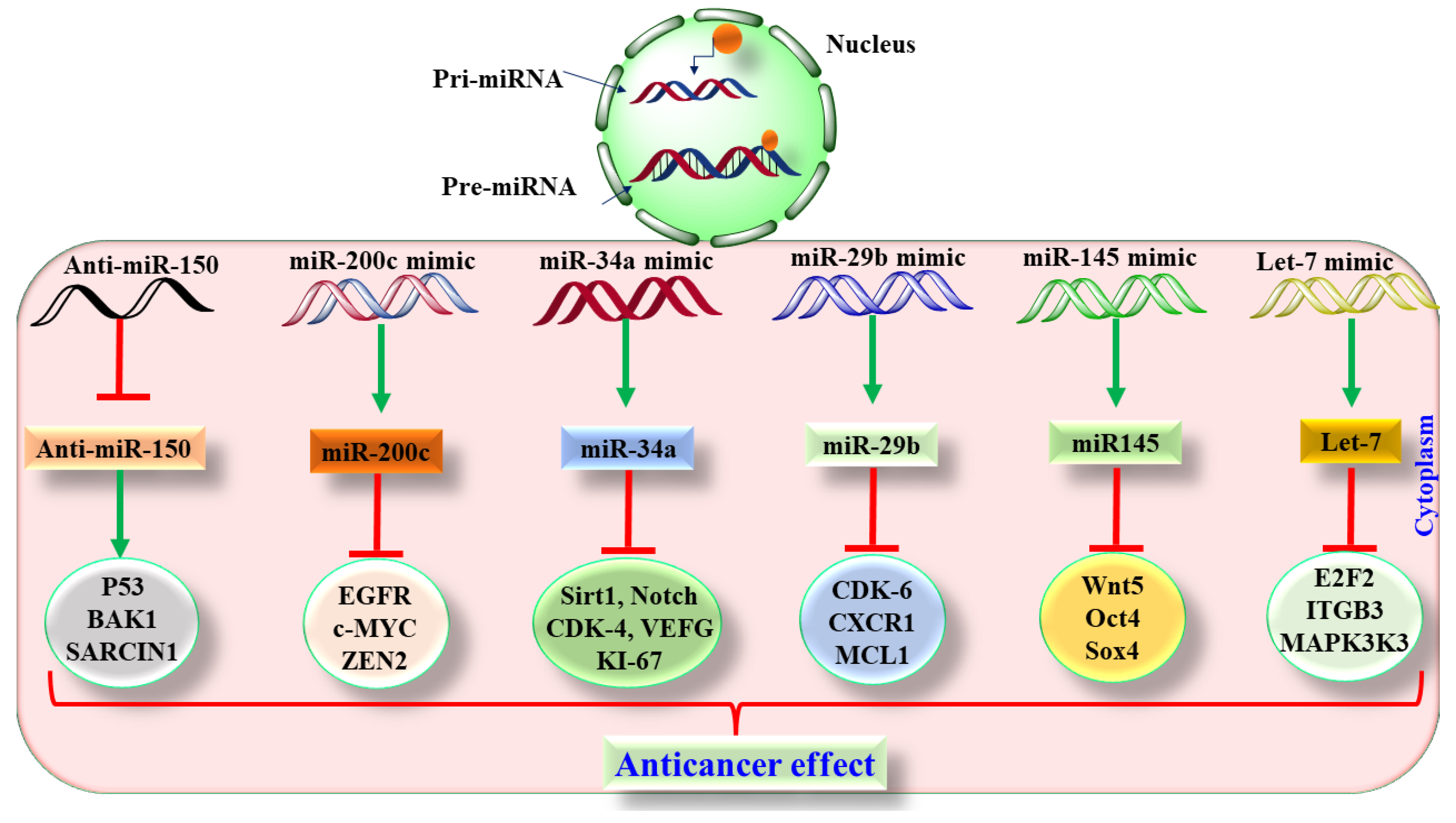Pharmaceutics | Free Full-Text | Signaling Pathway Inhibitors, miRNA, and  Nanocarrier-Based Pharmacotherapeutics for the Treatment of Lung Cancer: A  Review | HTML