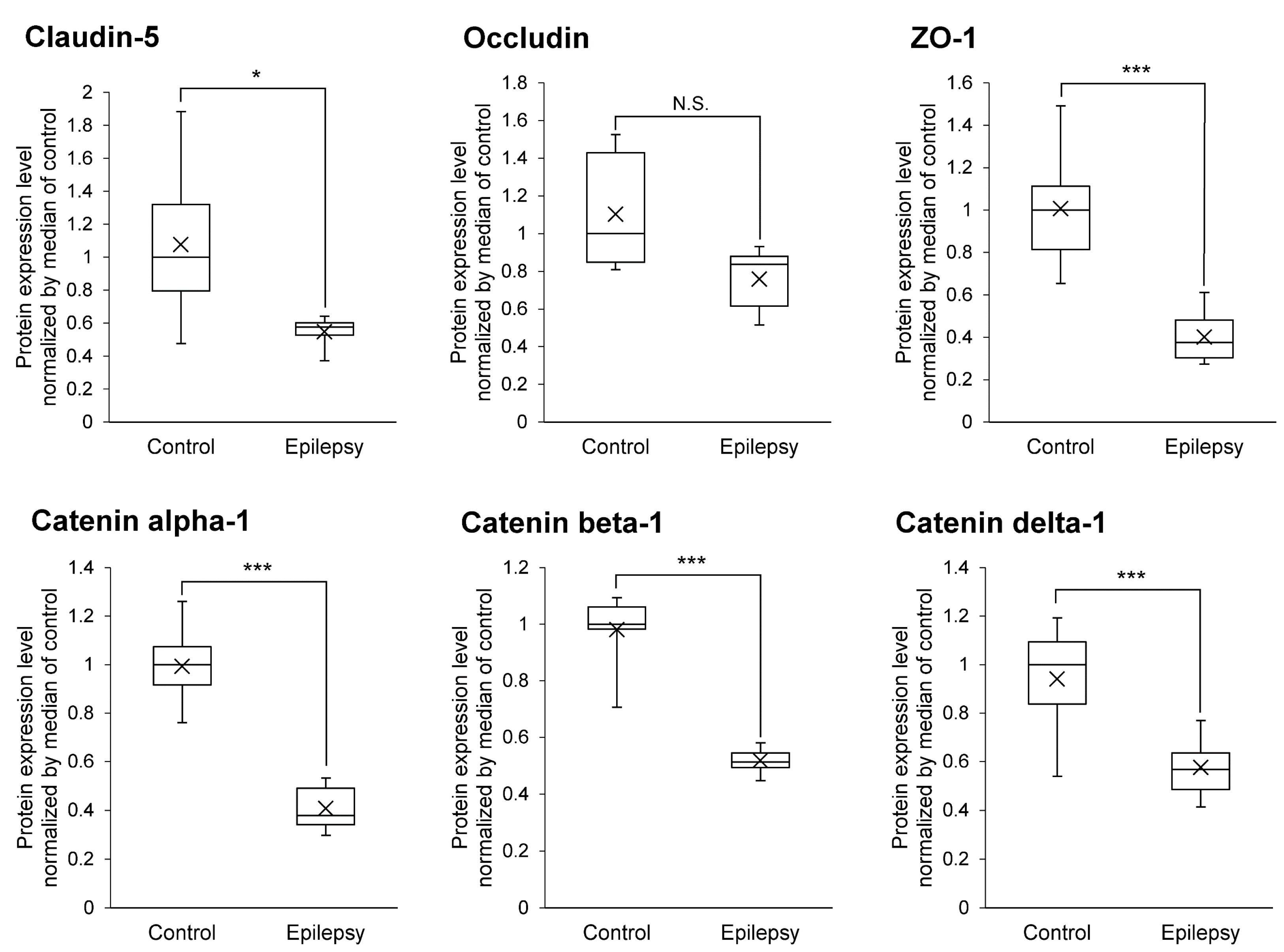 Pharmaceutics 13 02122 g003