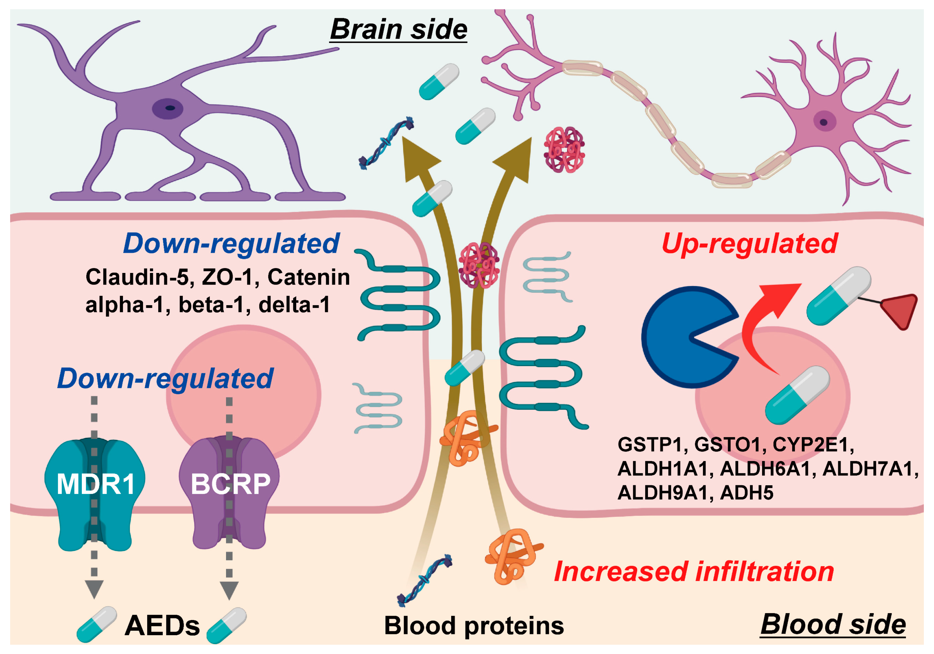 Pharmaceutics 13 02122 g005