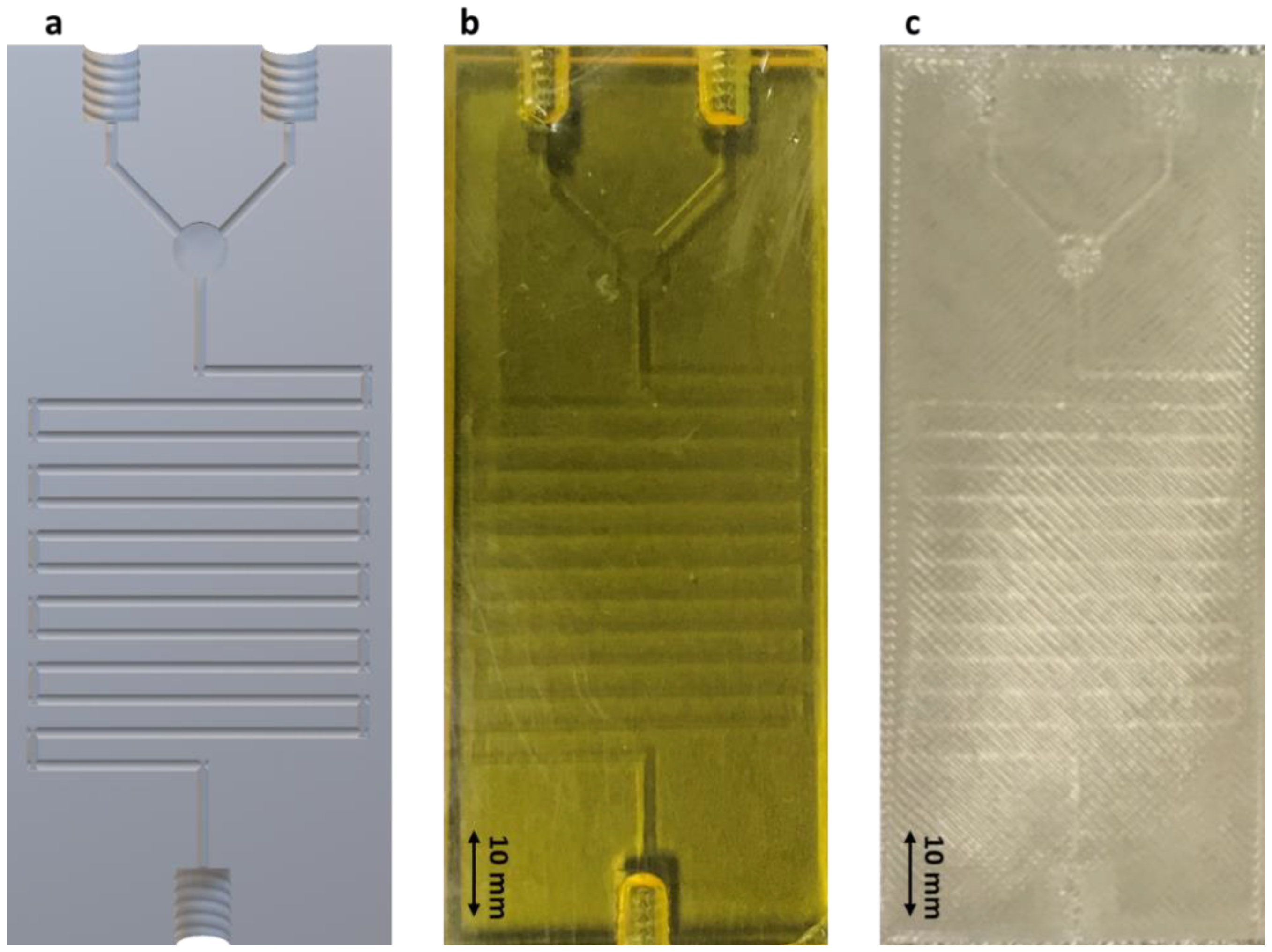 Pharmaceutics 13 02134 g002